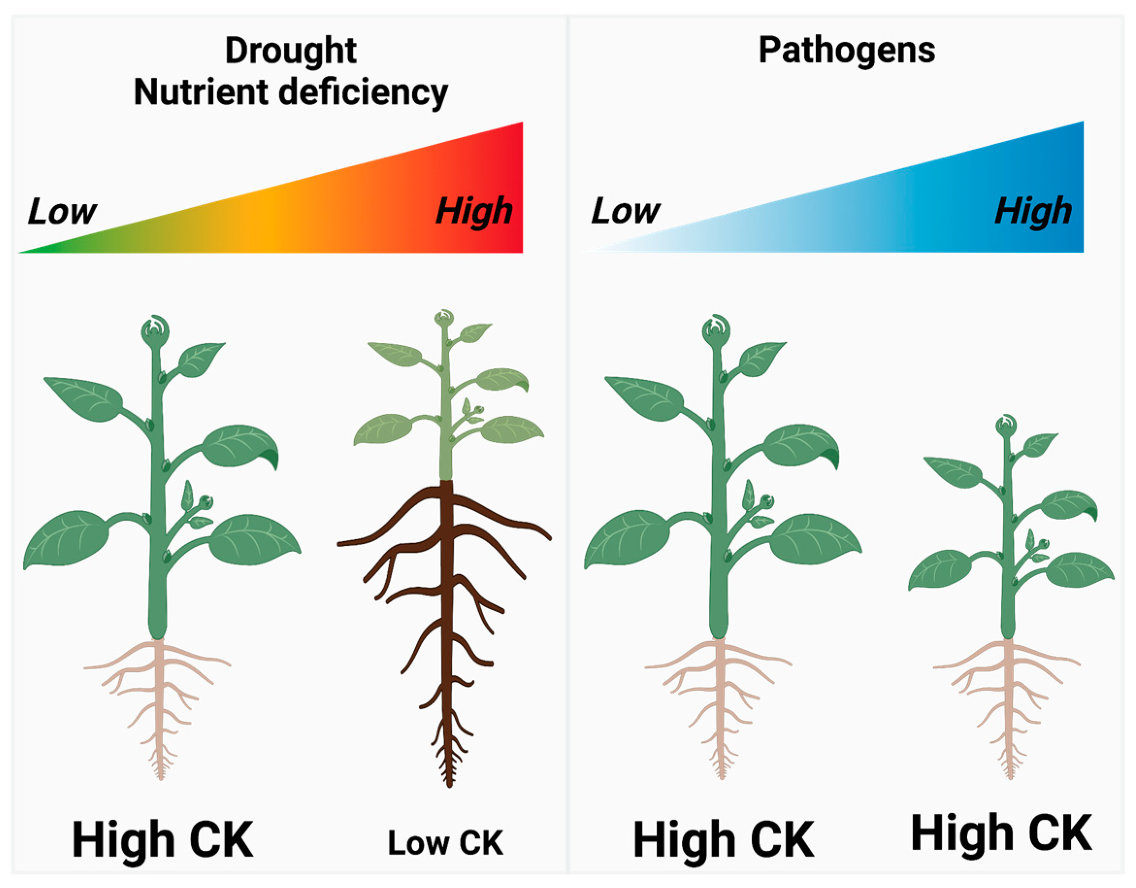 Biology 12 01143 g003