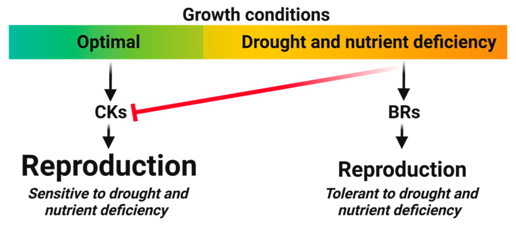 Biology 12 01143 g004