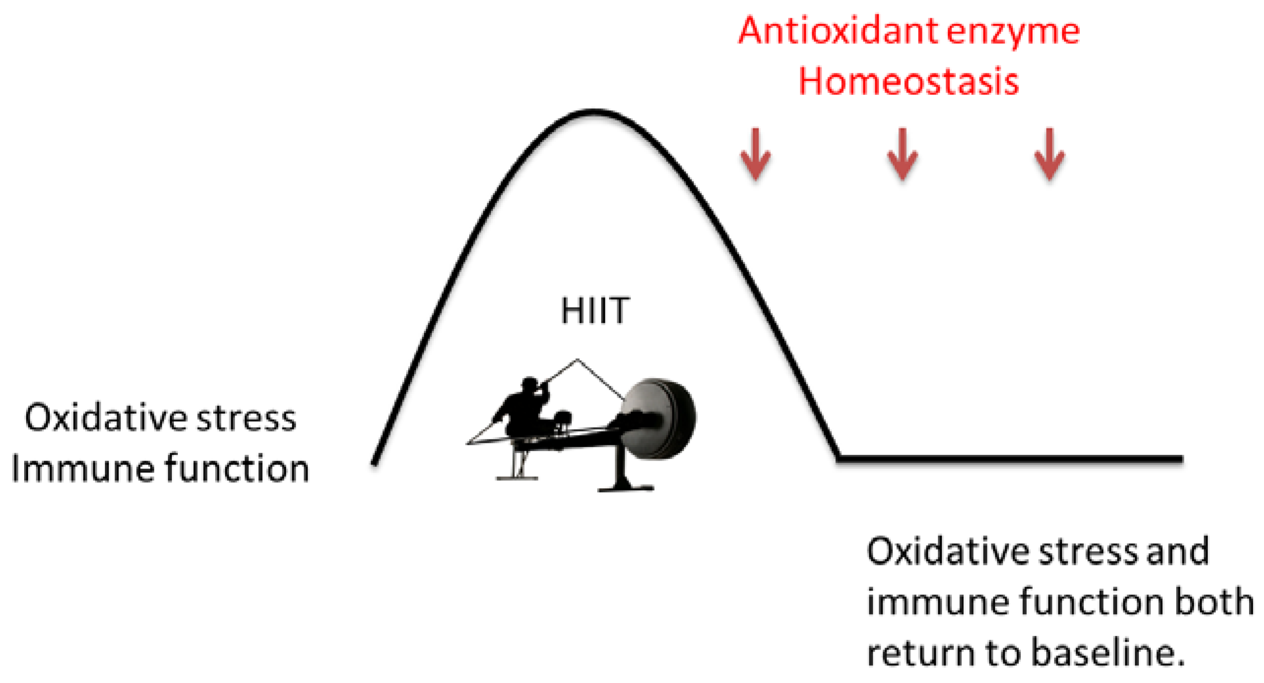 Biology 12 01144 g002