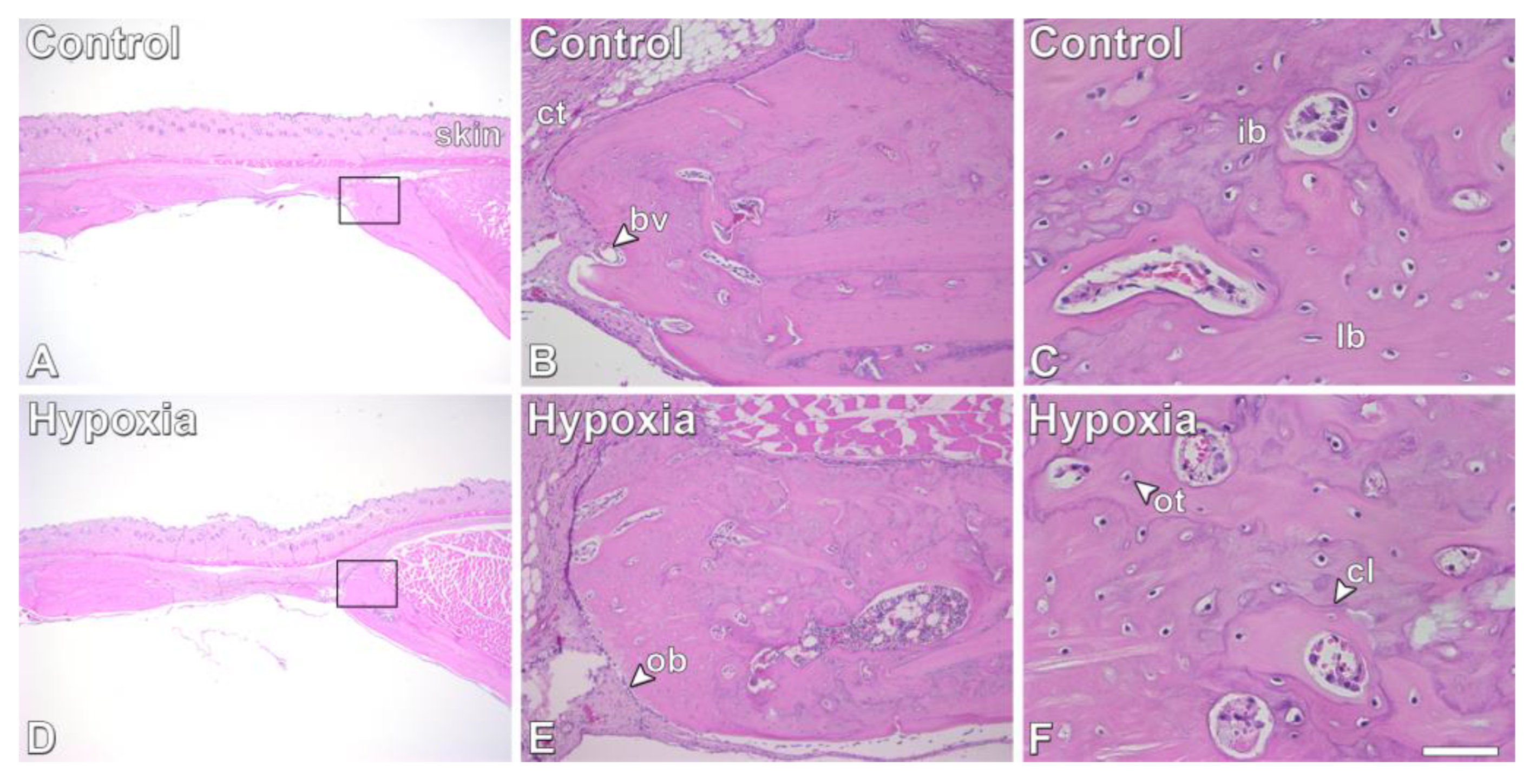 Biology 12 01147 g006