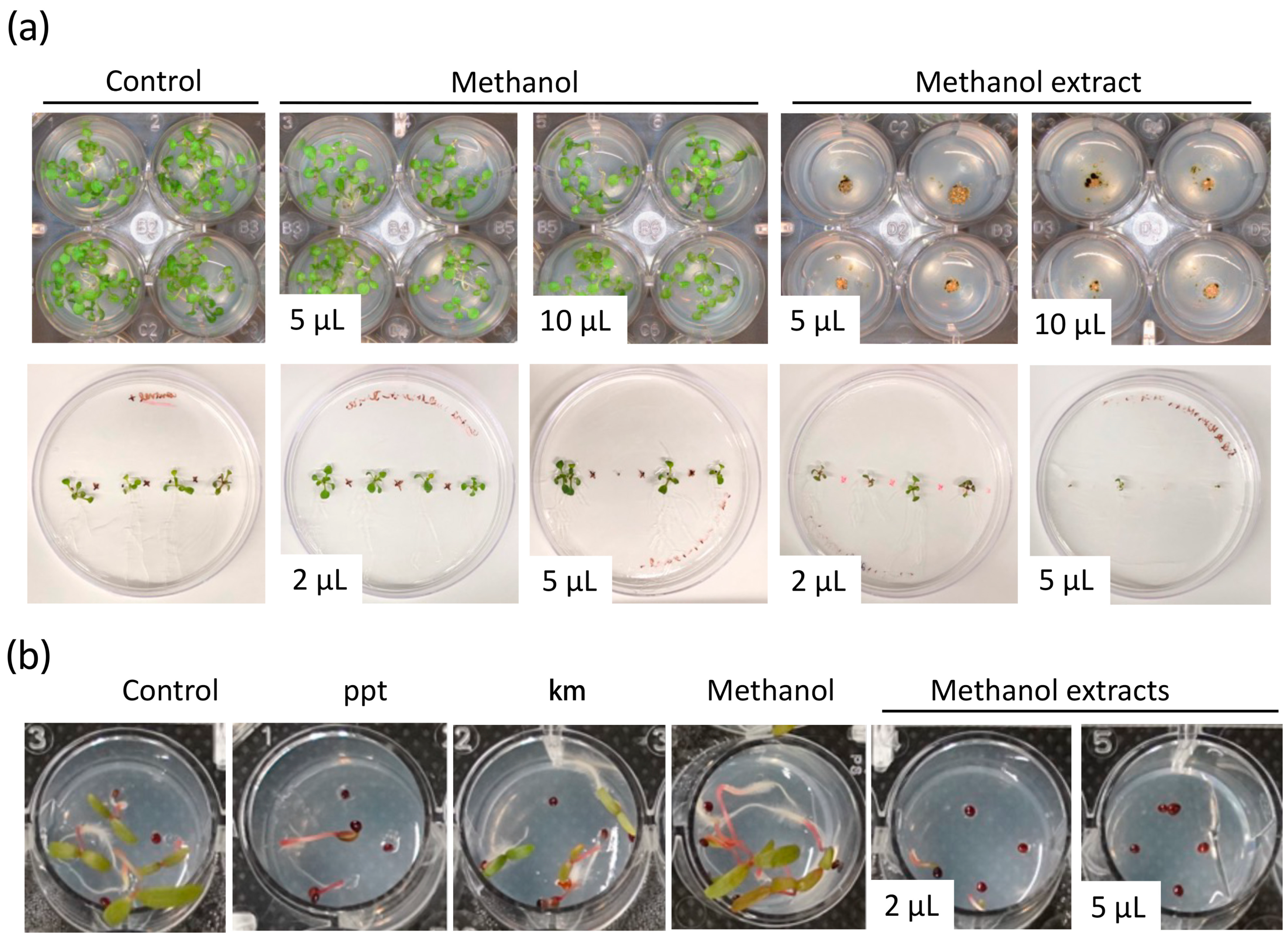 Biology 12 01149 g002 Biology 12 01149 g002