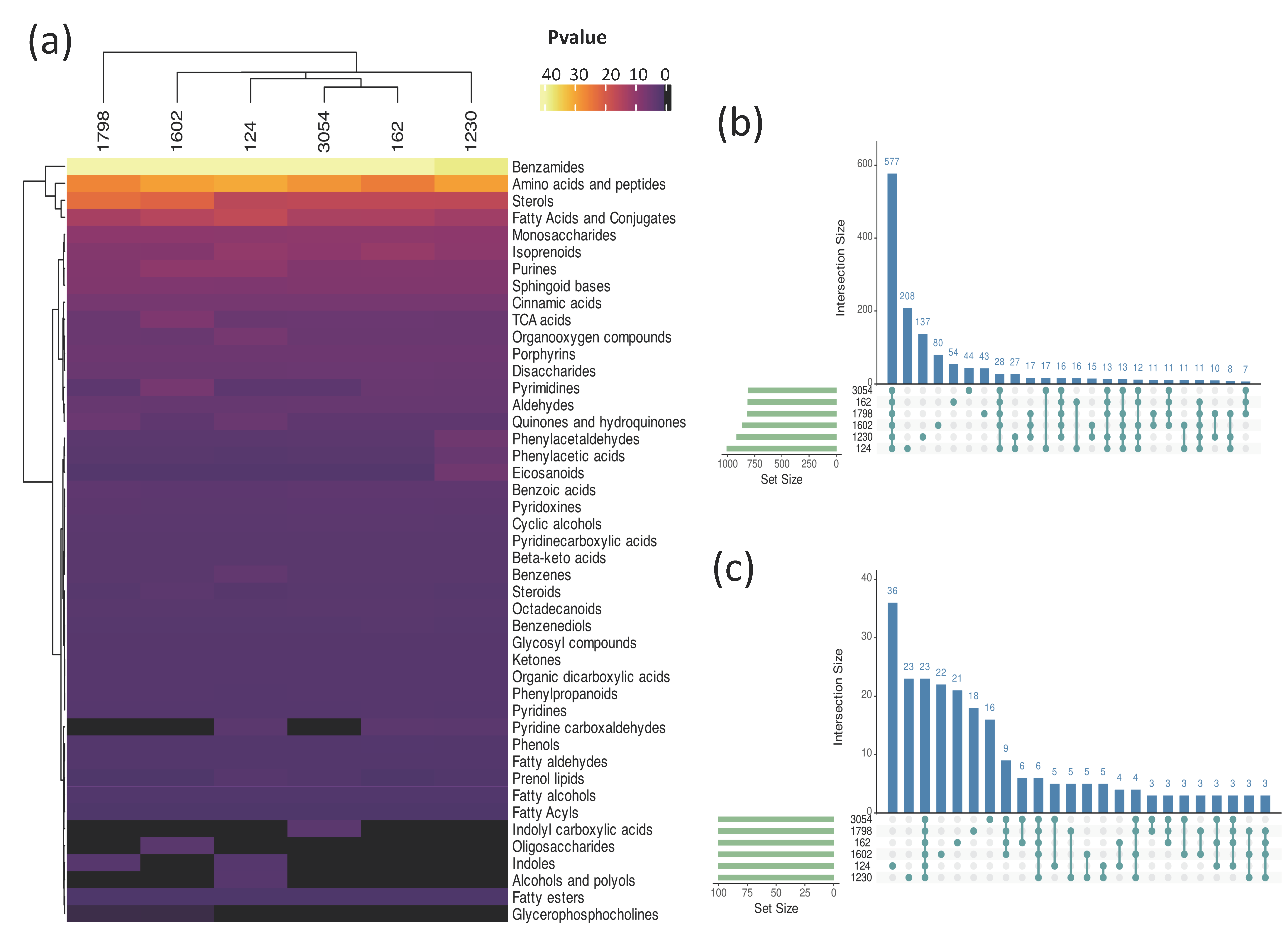 Biology 12 01149 g004 Biology 12 01149 g004