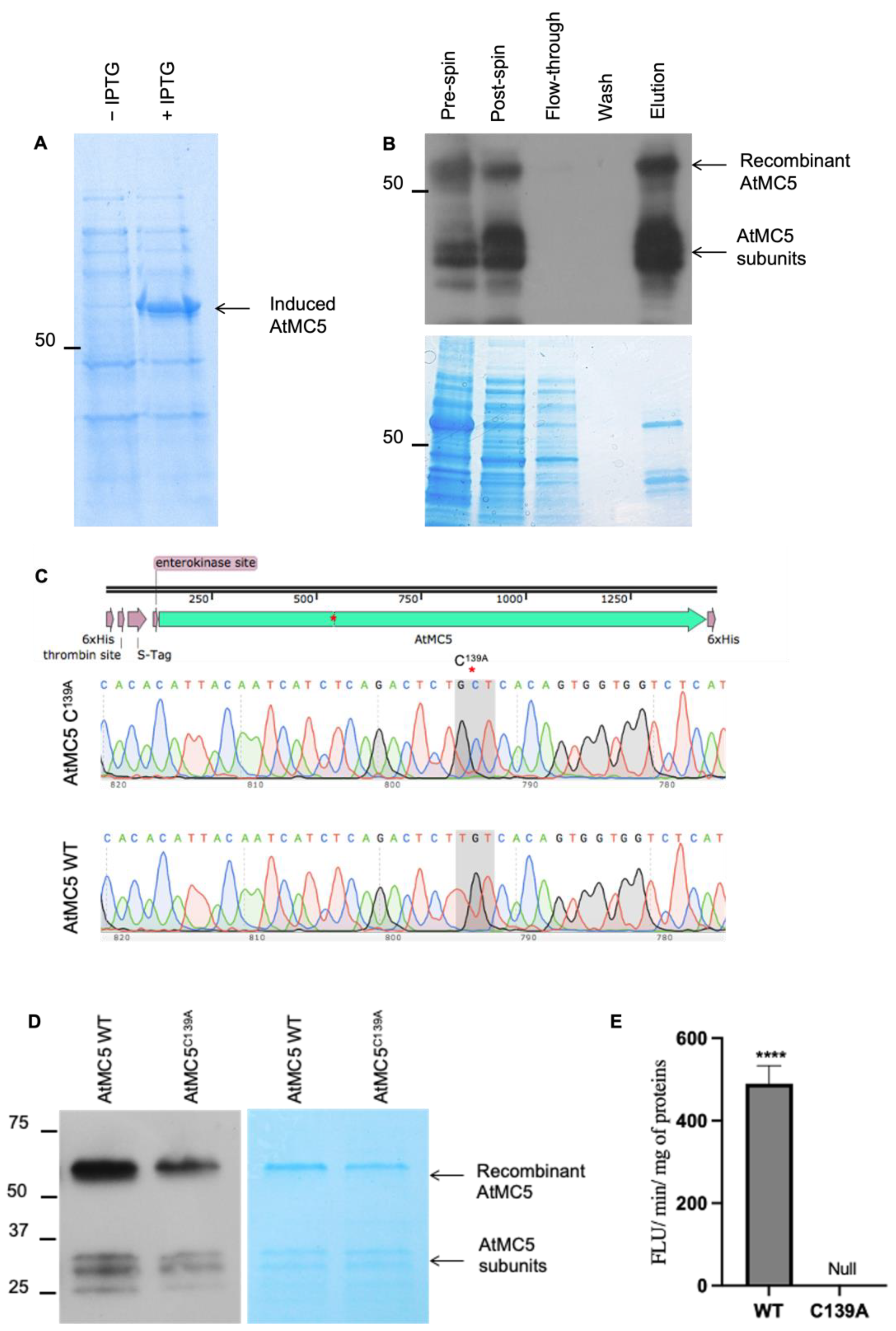 Biology 12 01155 g006