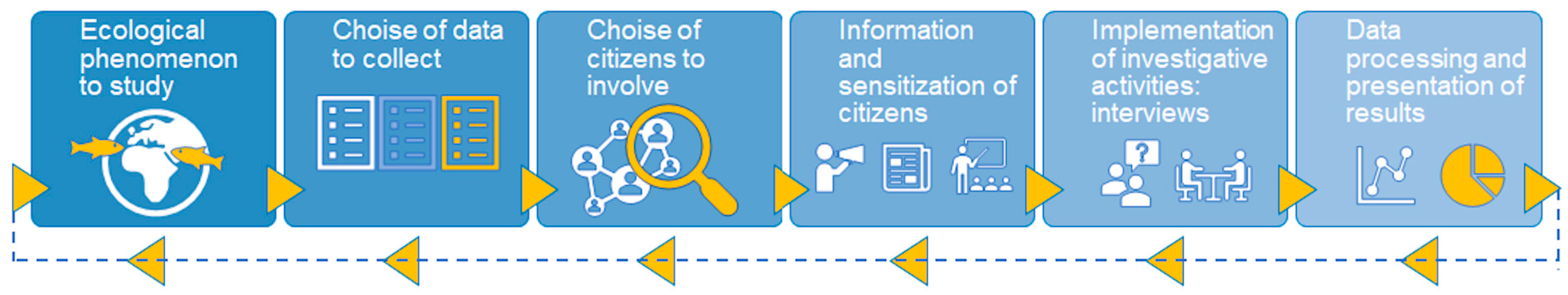 Biology 12 01158 g001