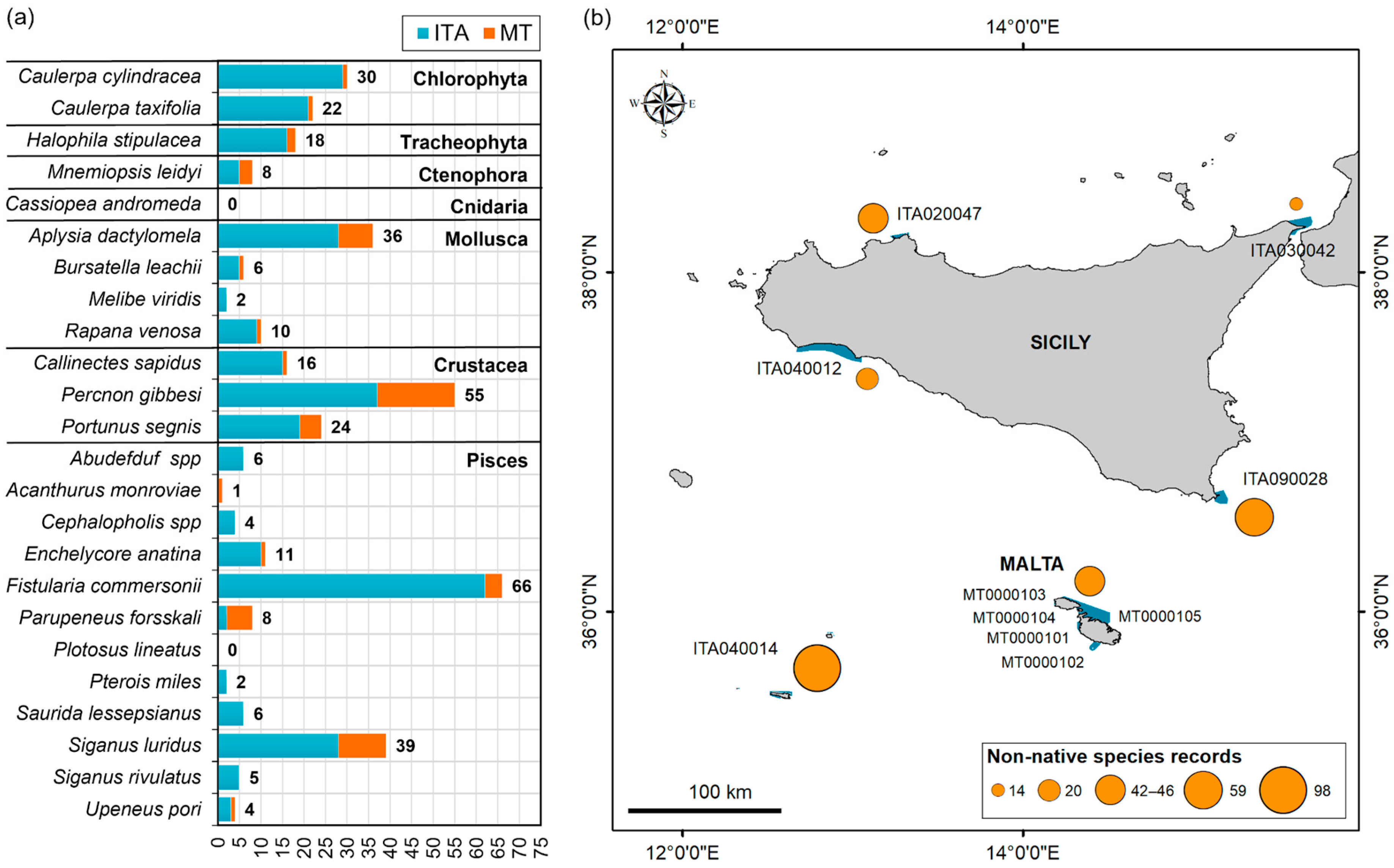 Biology 12 01158 g004