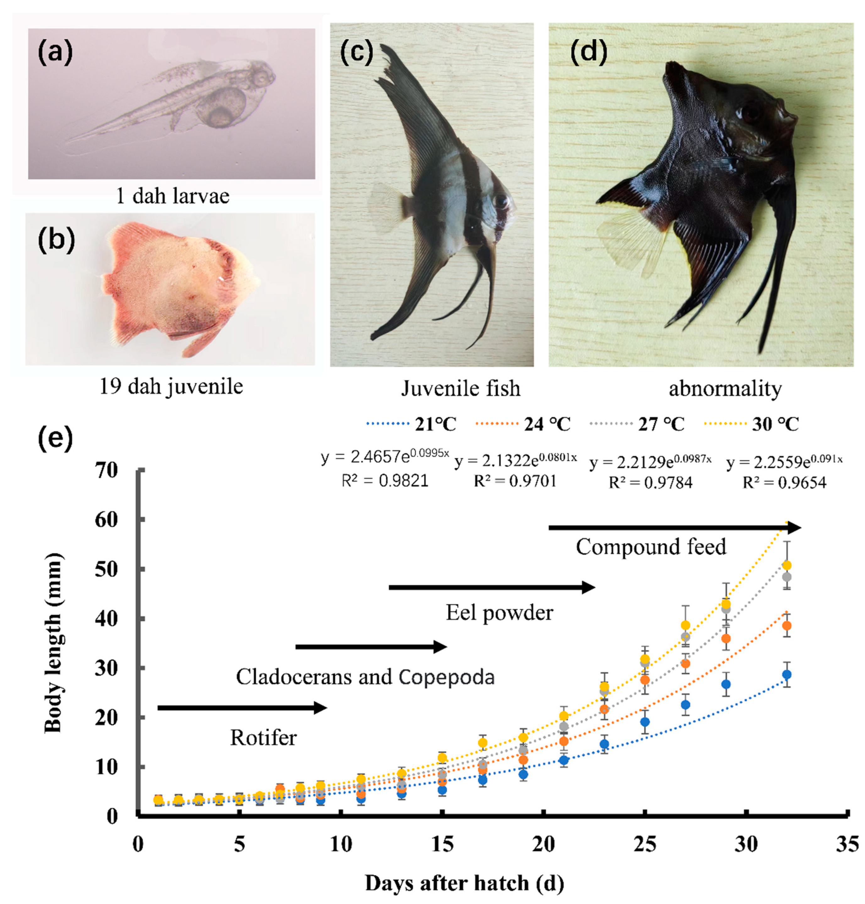 Biology 12 01161 g001