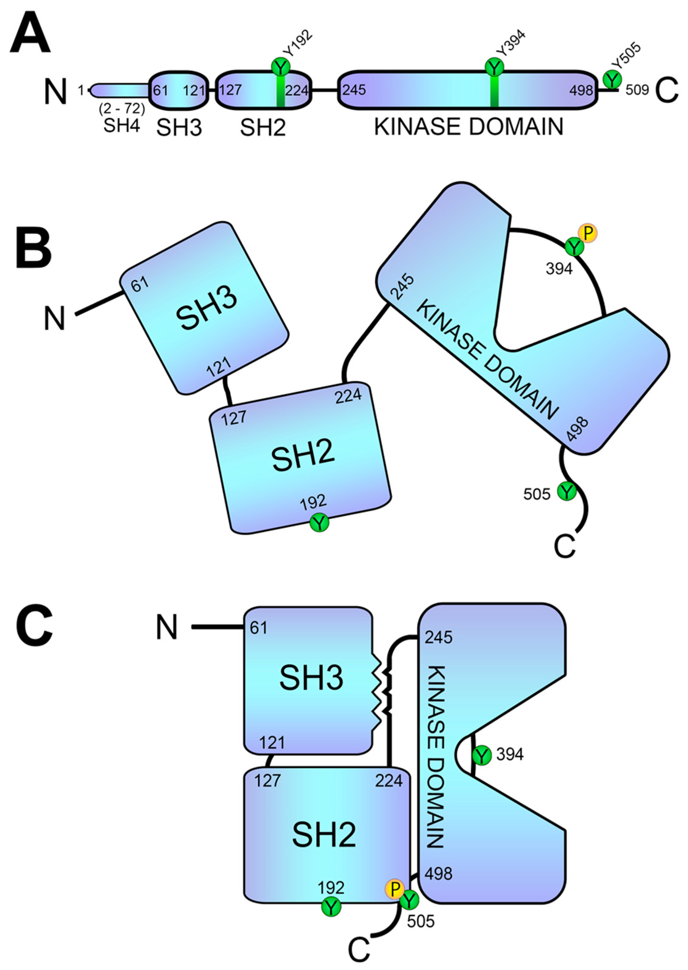 Biology 12 01163 g003 Biology 12 01163 g003