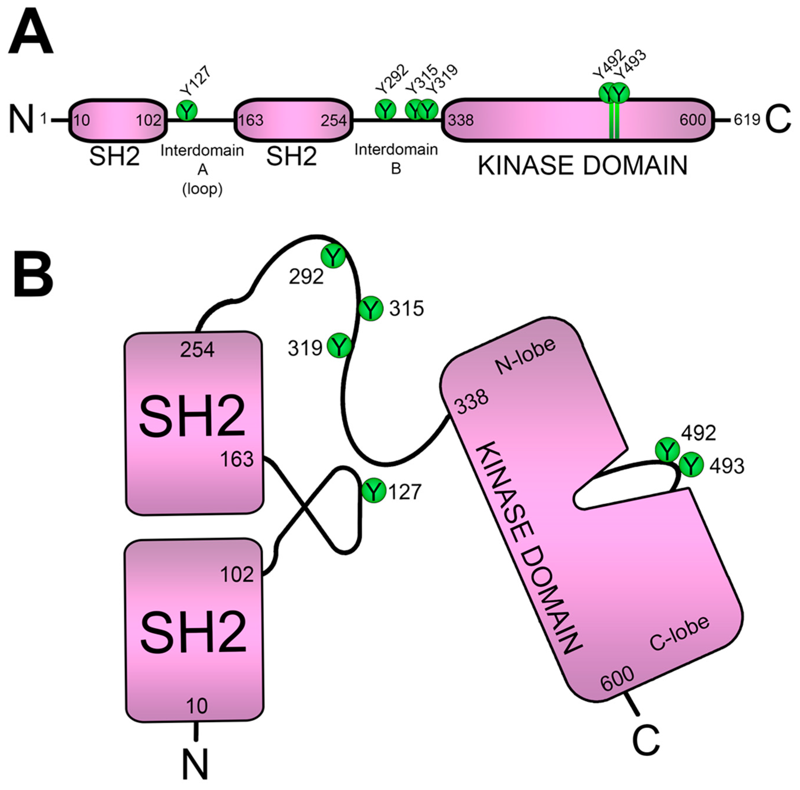 Biology 12 01163 g004 Biology 12 01163 g004
