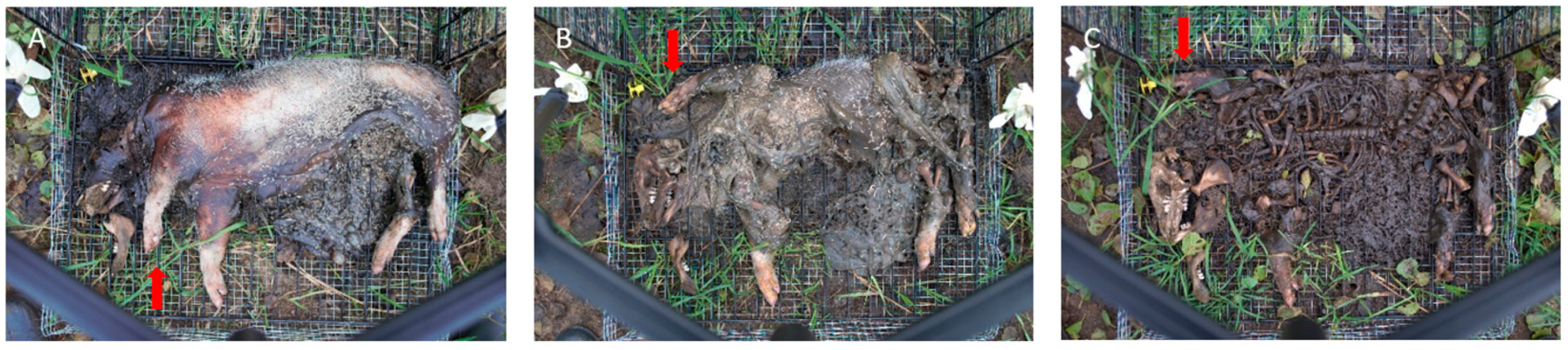 Biology 12 01164 g005