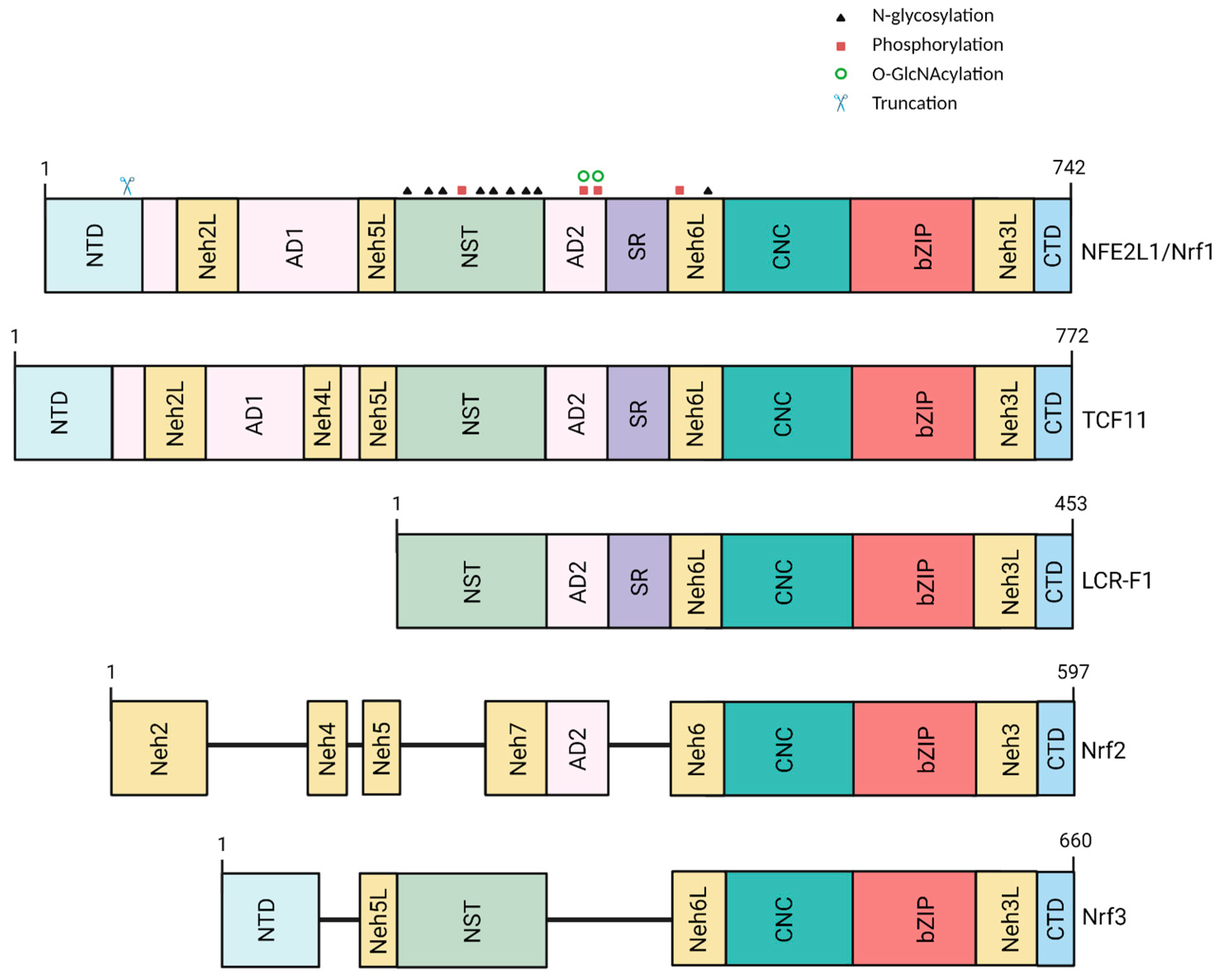 Biology 12 01169 g002 Biology 12 01169 g002