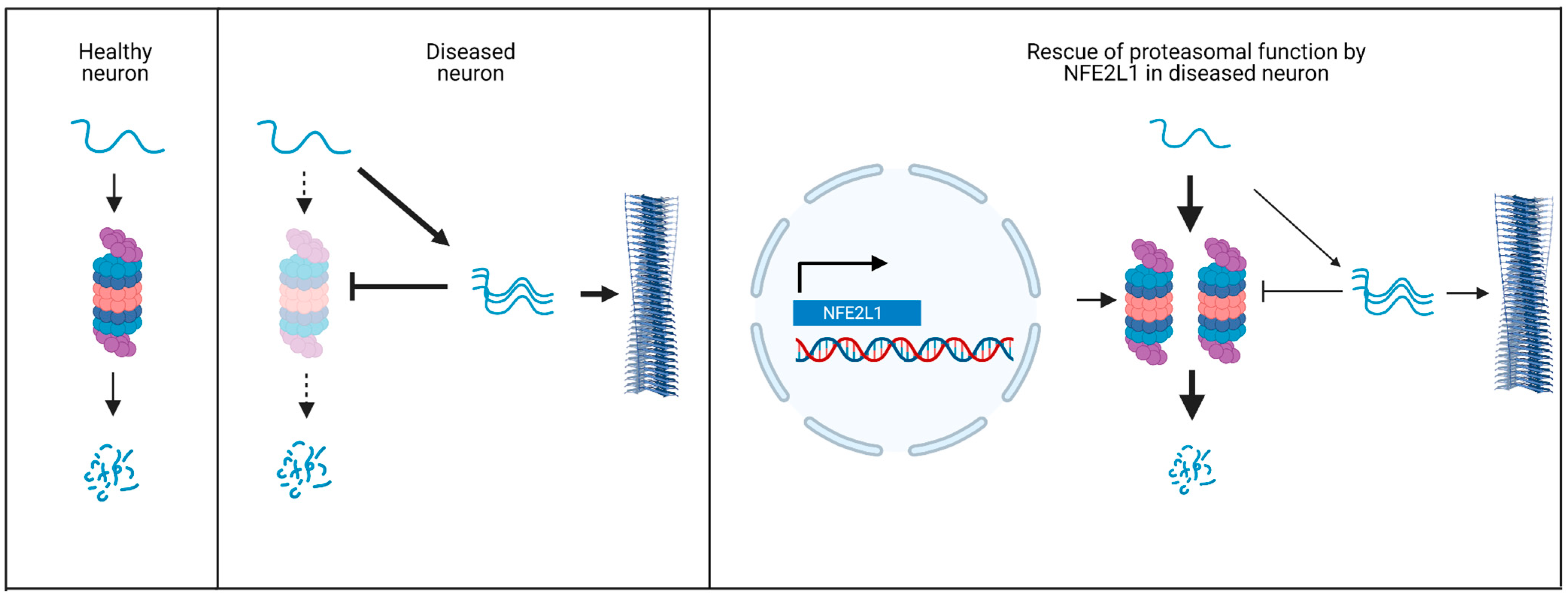Biology 12 01169 g003 Biology 12 01169 g003