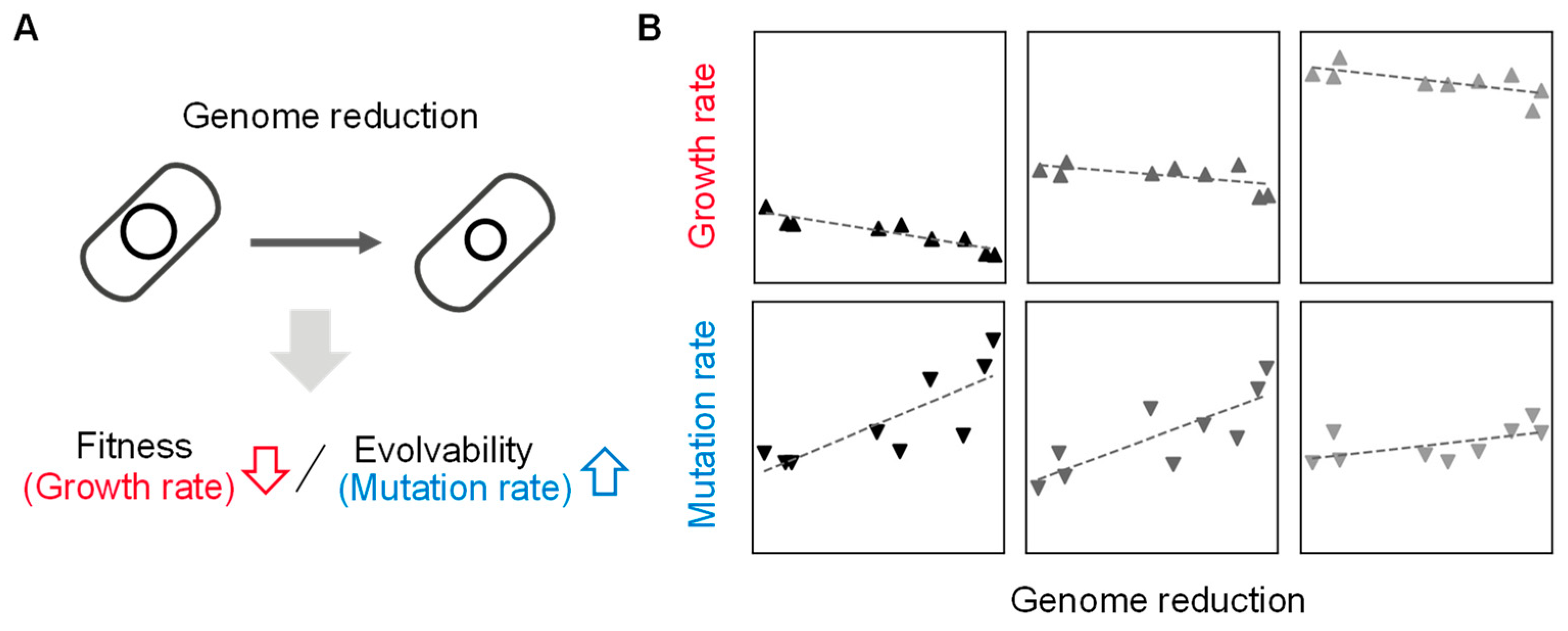 Biology 12 01170 g002 Biology 12 01170 g002