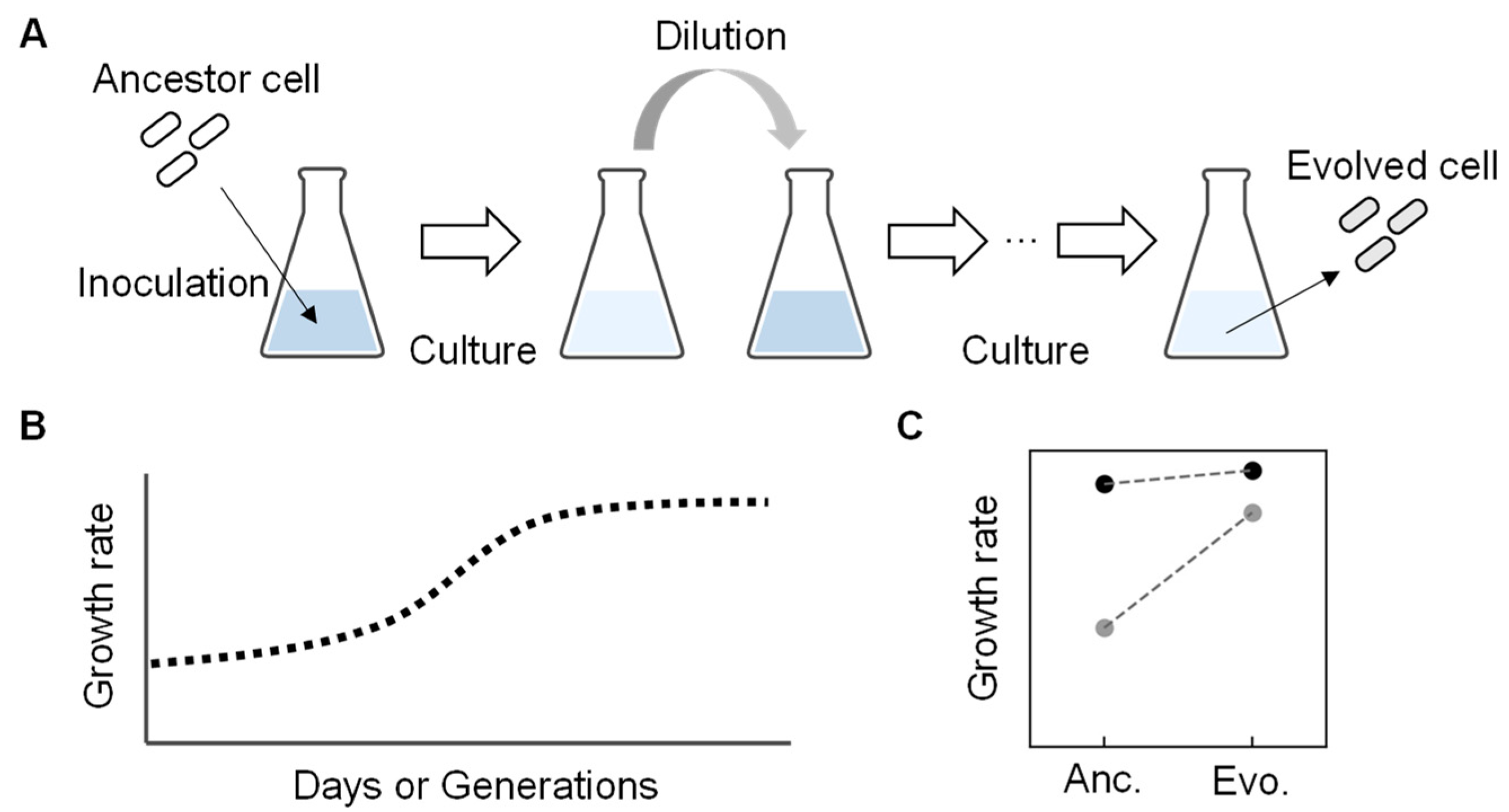Biology 12 01170 g003 Biology 12 01170 g003