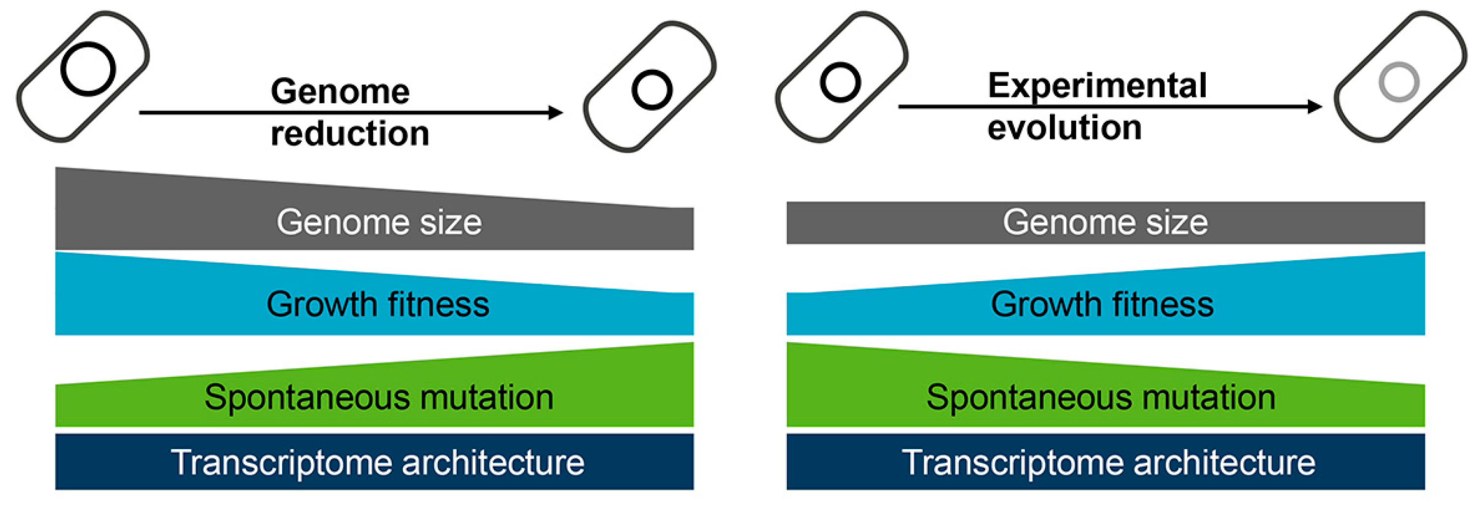 Biology 12 01170 g004 Biology 12 01170 g004