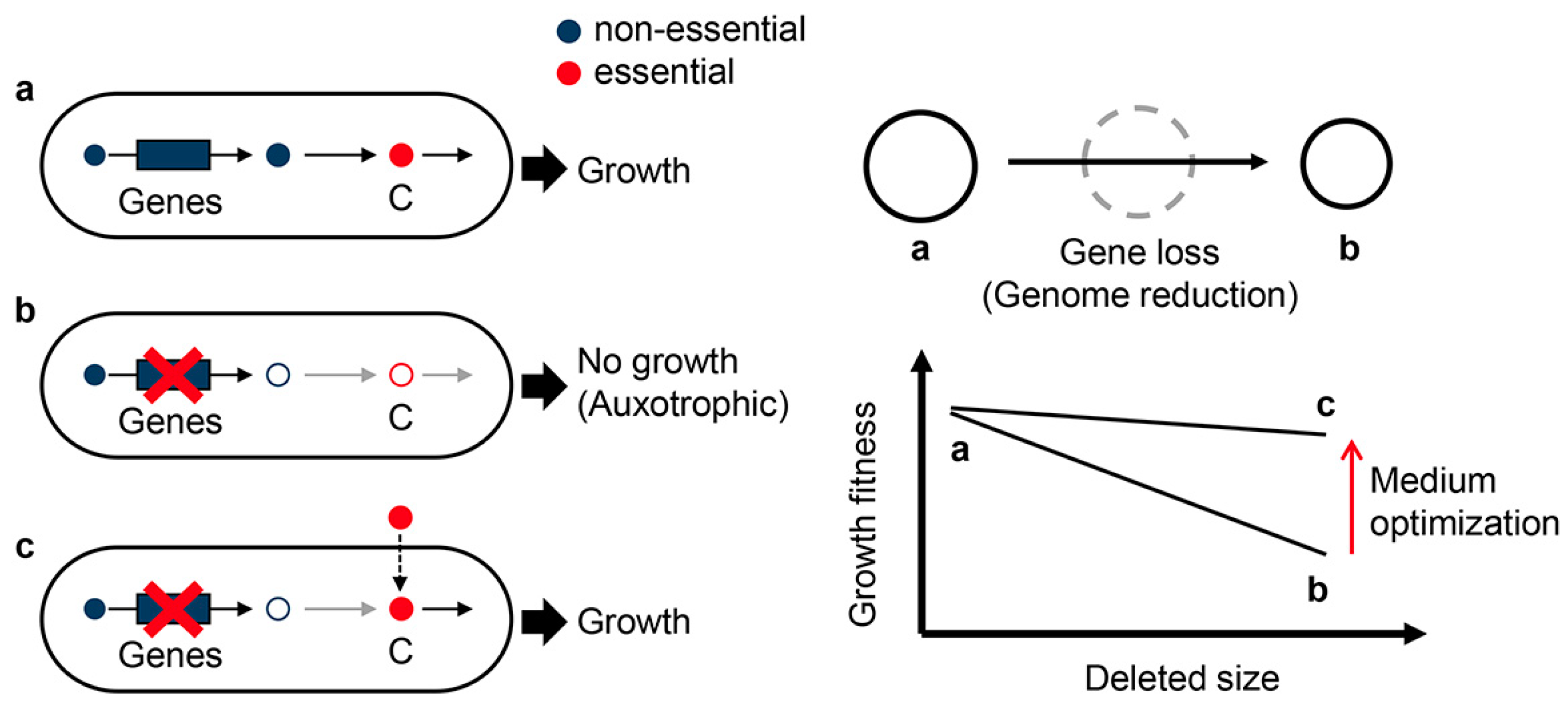 Biology 12 01170 g005 Biology 12 01170 g005