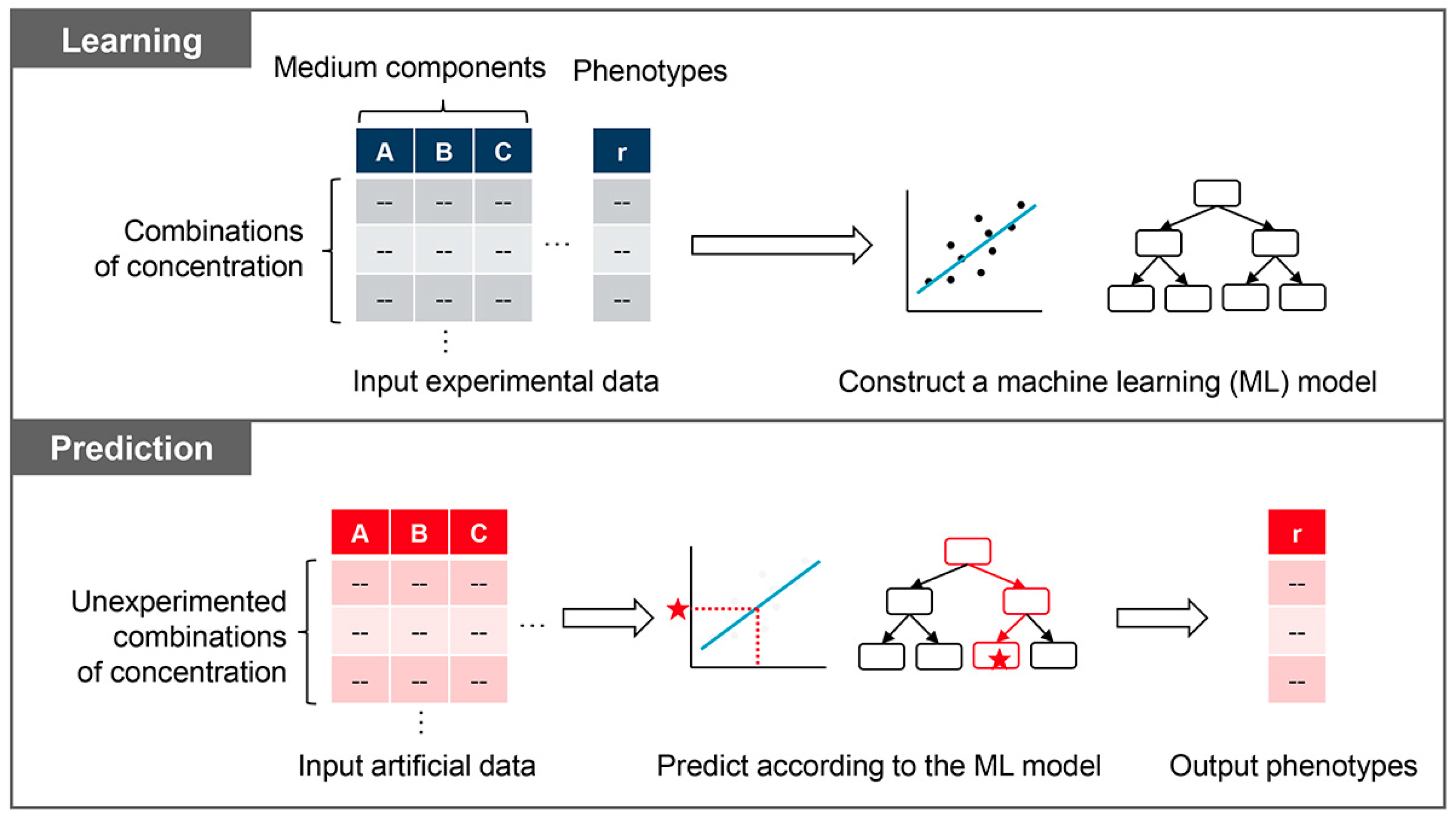 Biology 12 01170 g006 Biology 12 01170 g006