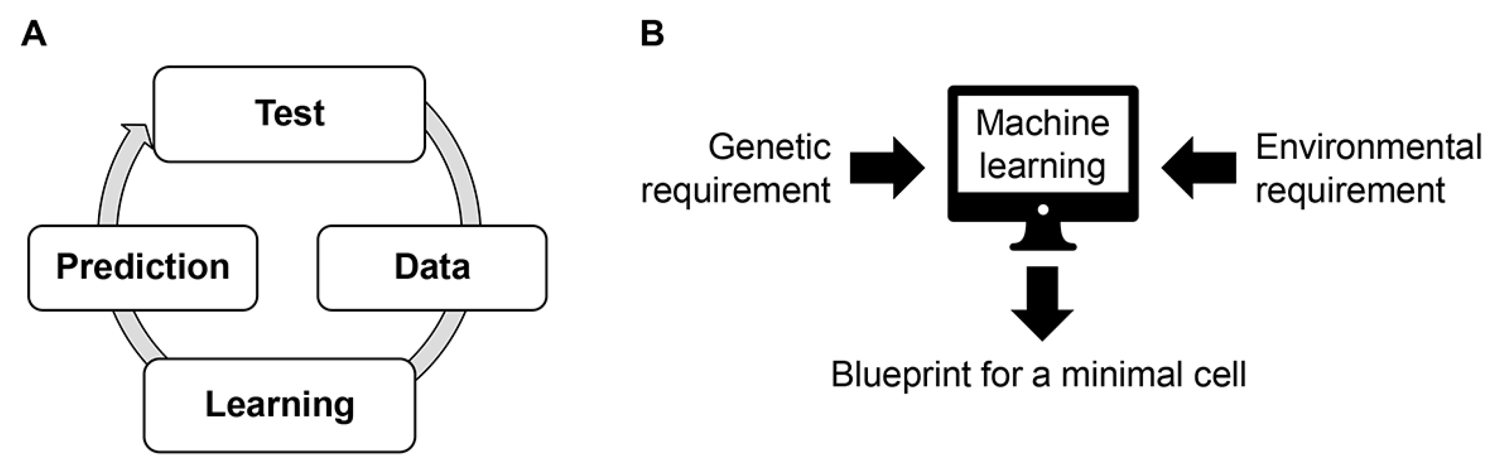 Biology 12 01170 g007 Biology 12 01170 g007