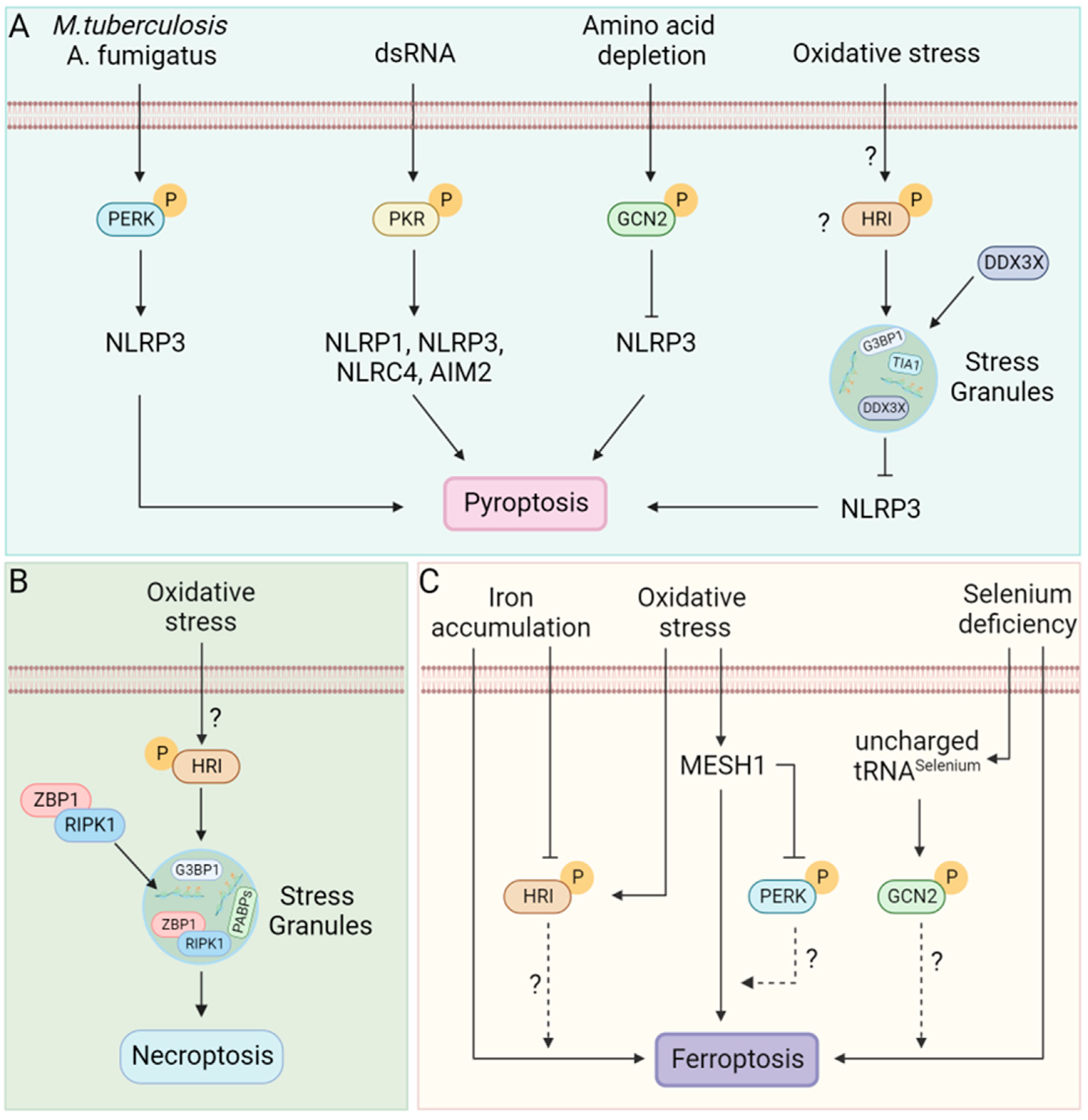 Biology 12 01172 g006