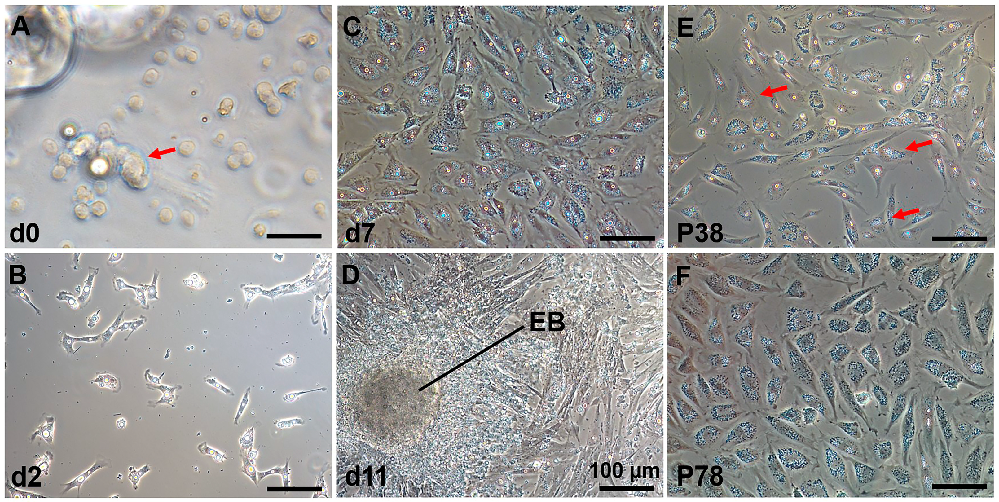 Biology 12 01175 g002