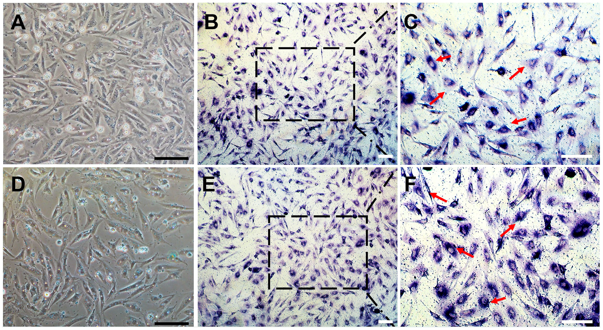 Biology 12 01175 g003