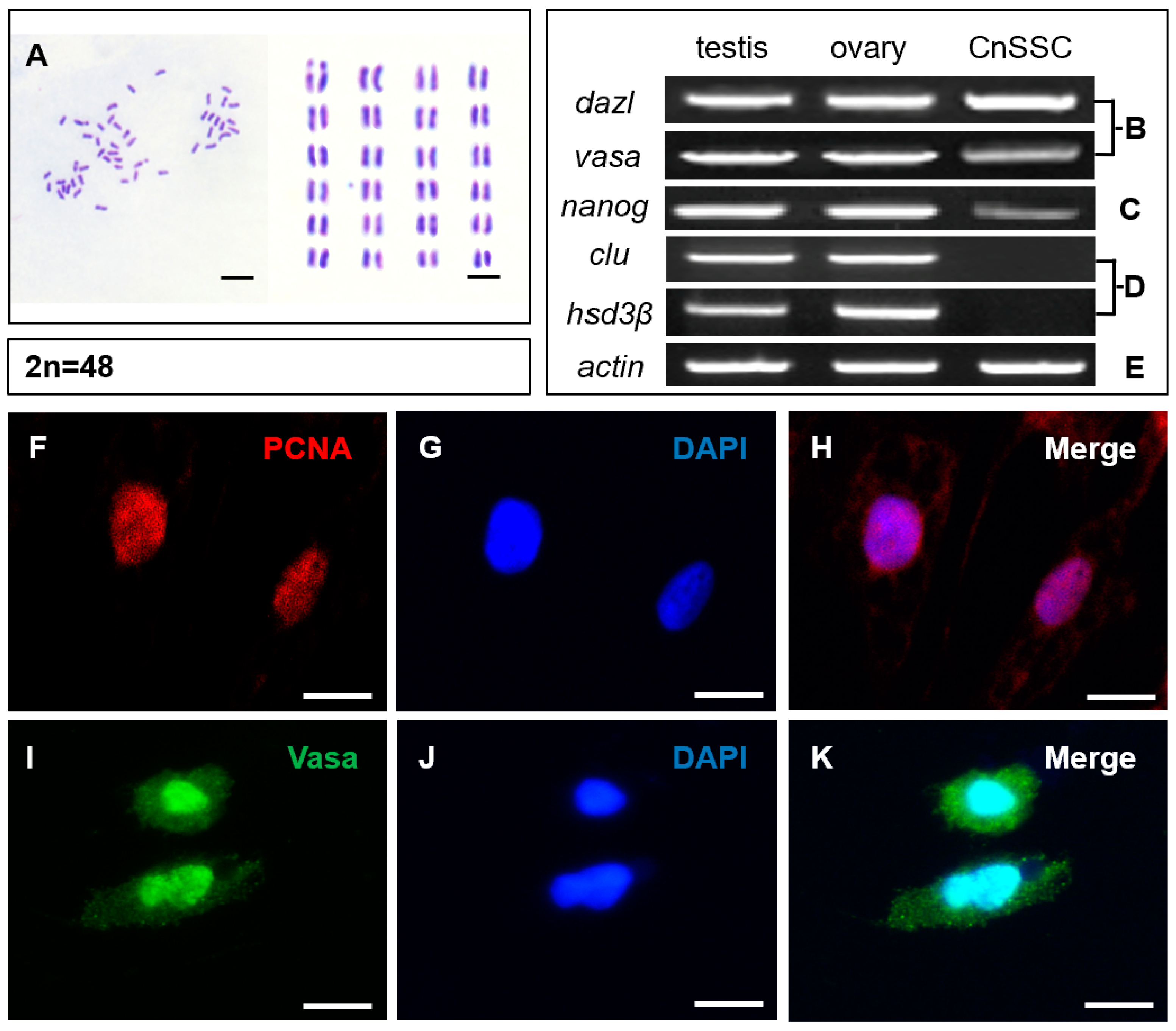 Biology 12 01175 g004