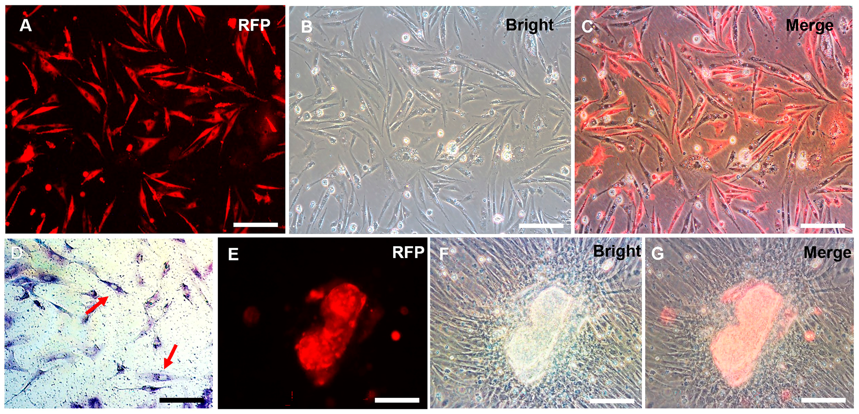 Biology 12 01175 g005