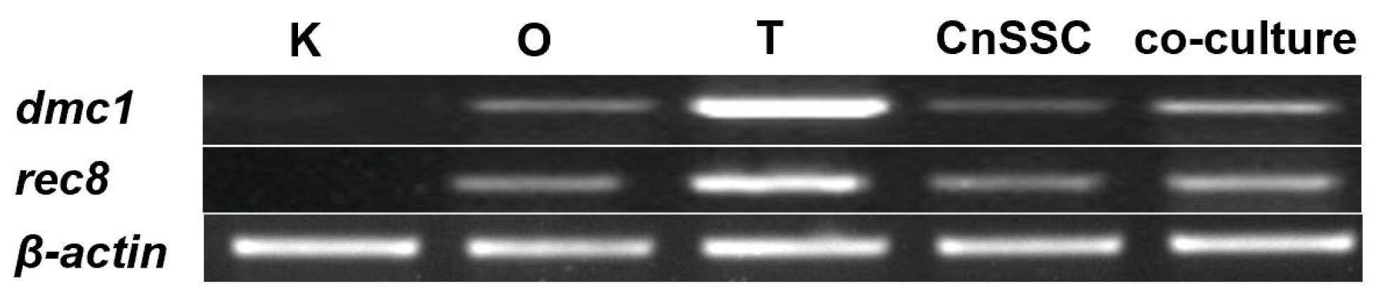 Biology 12 01175 g007