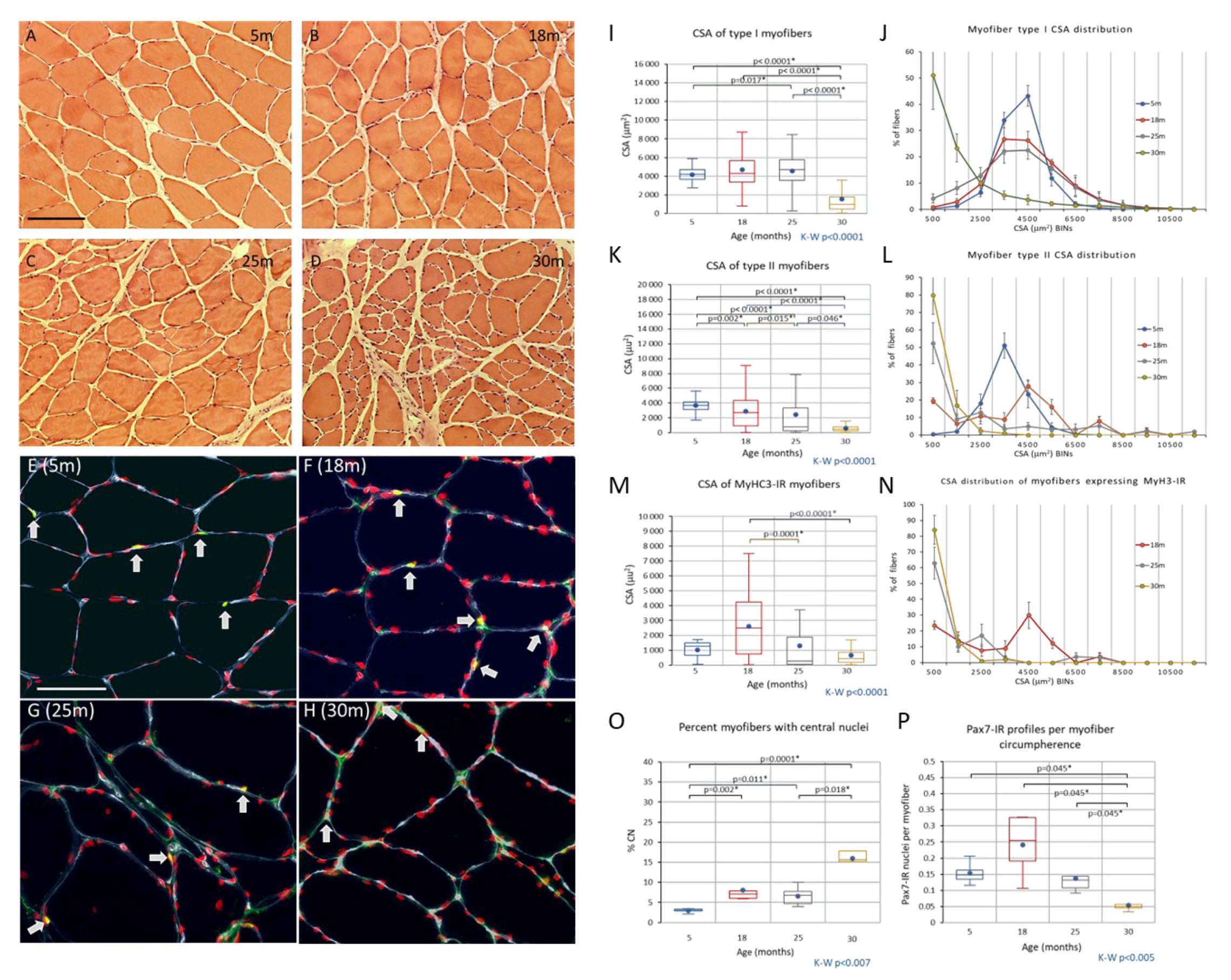Biology 12 01177 g004 Biology 12 01177 g004
