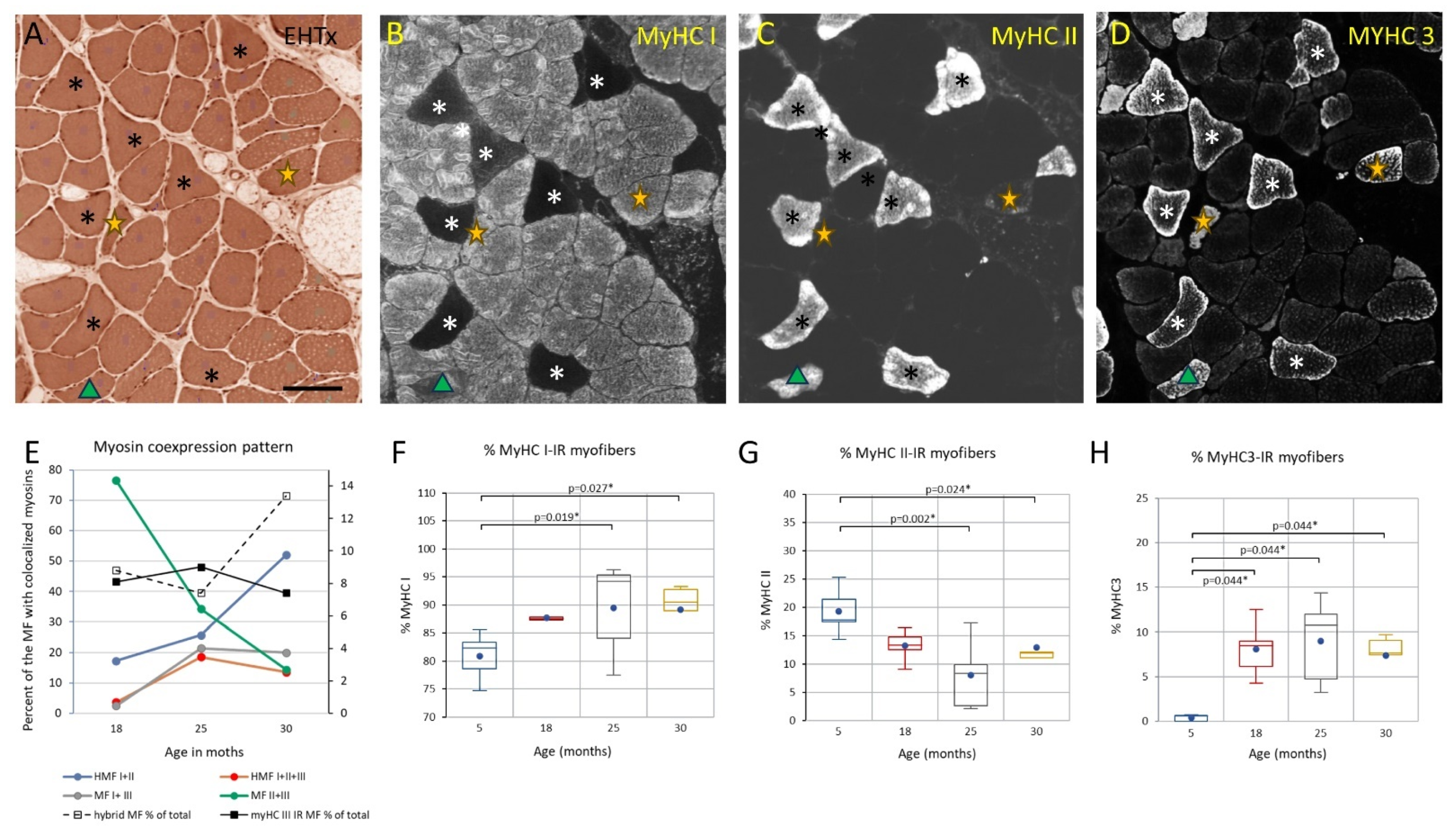Biology 12 01177 g006 Biology 12 01177 g006