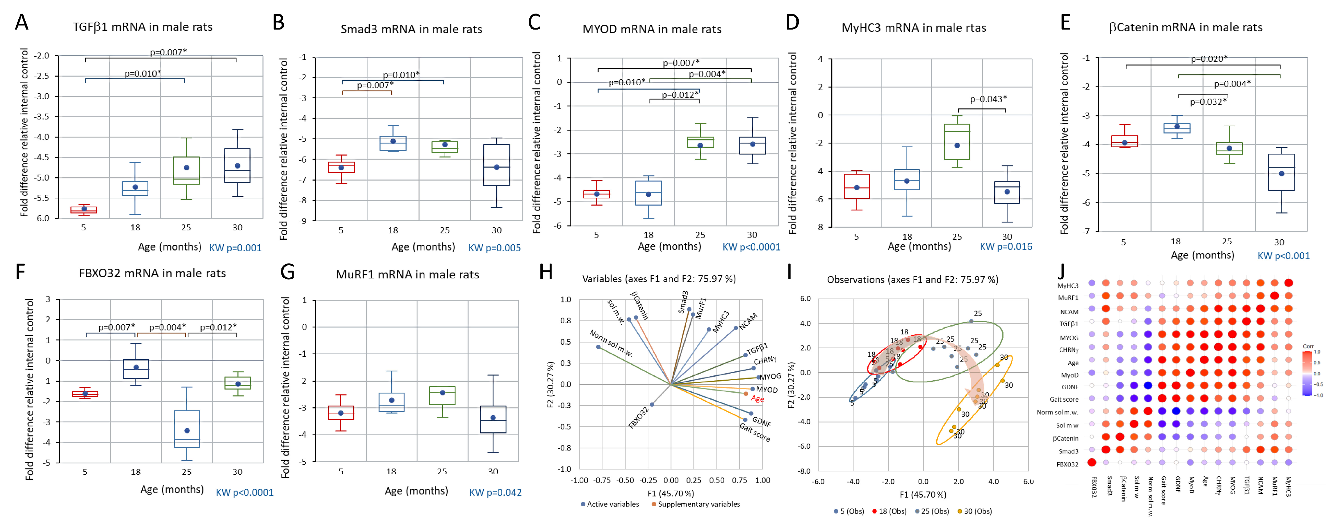 Biology 12 01177 g008 Biology 12 01177 g008