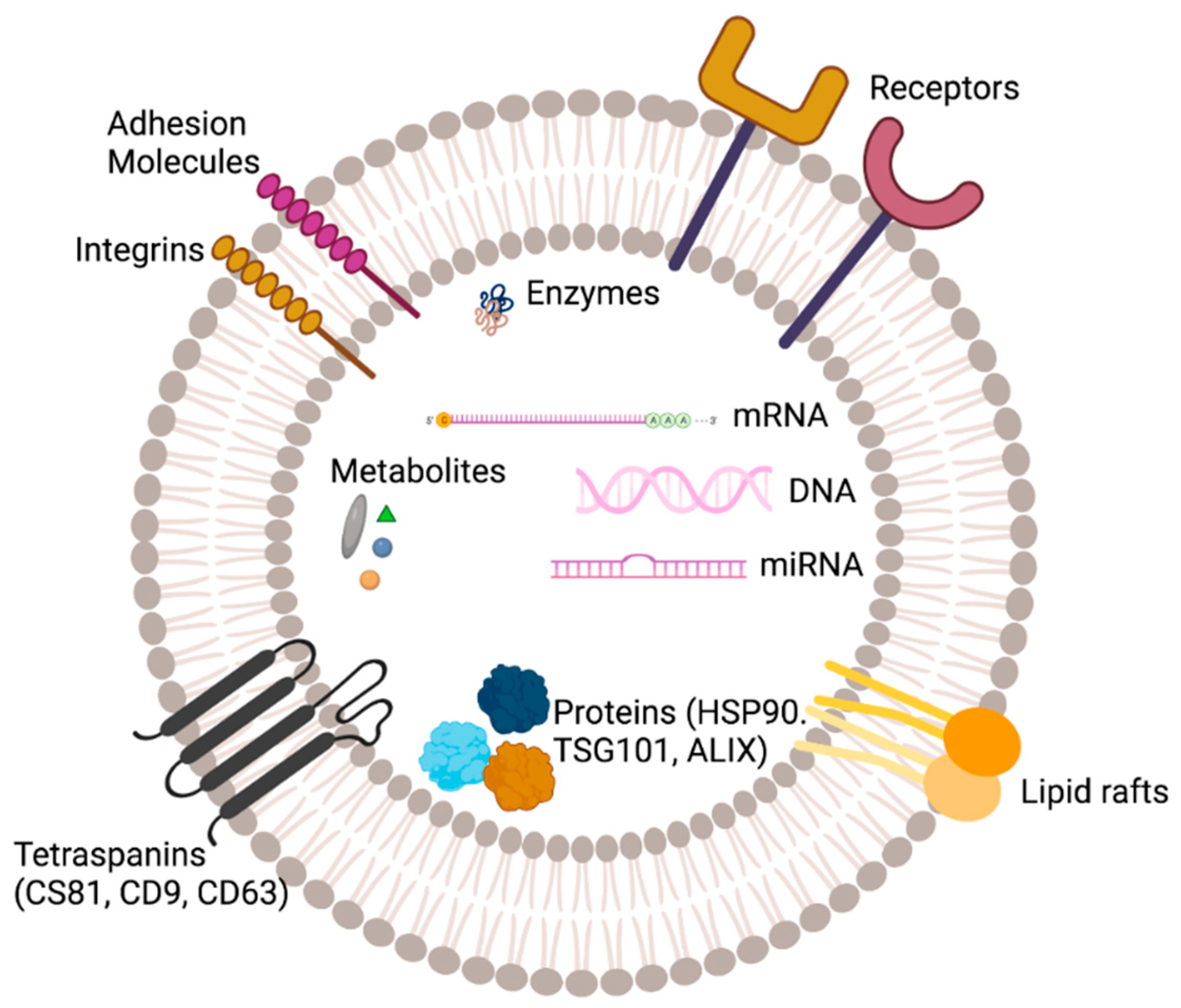 Biology 12 01178 g002 Biology 12 01178 g002