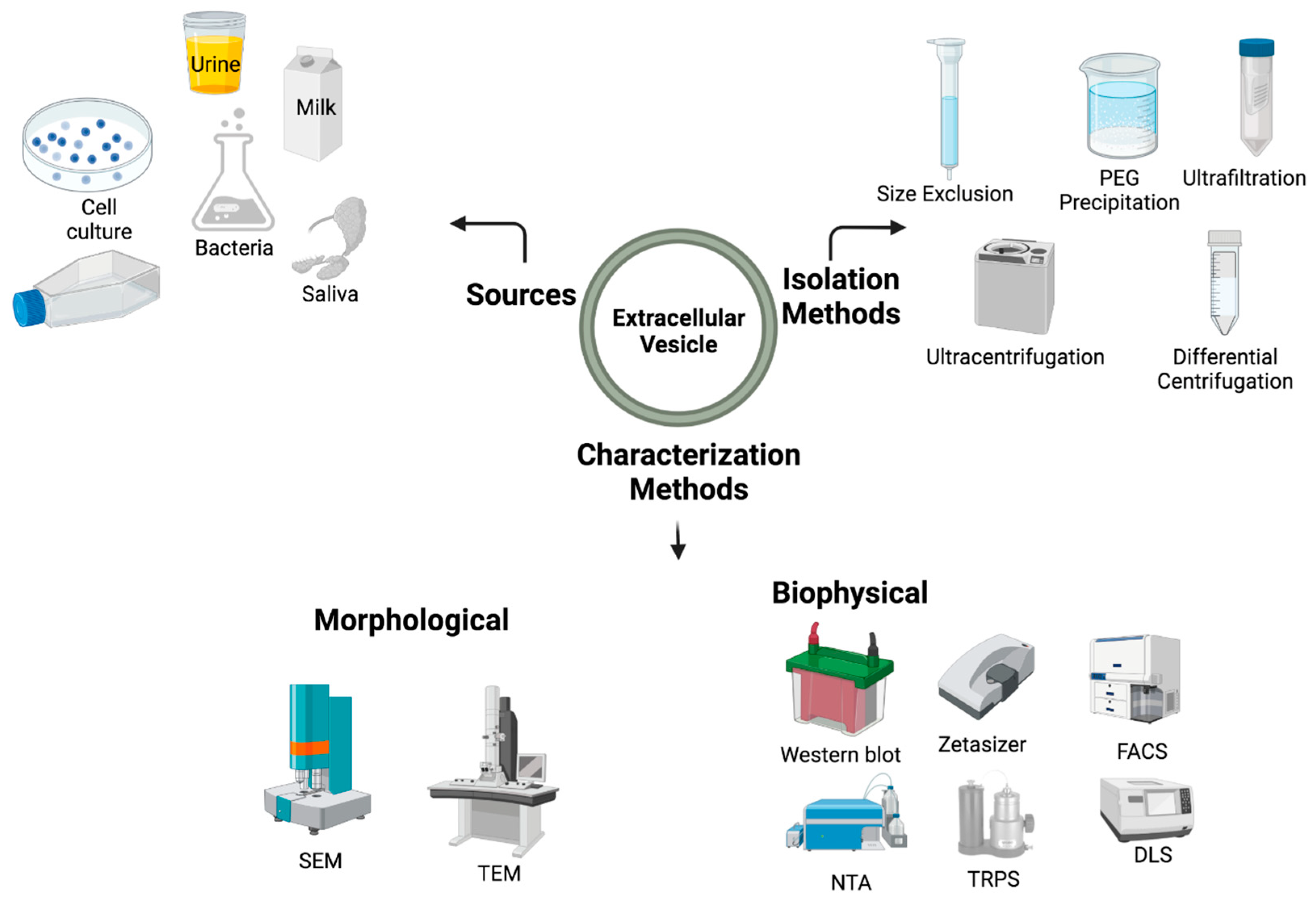 Biology 12 01178 g003 Biology 12 01178 g003
