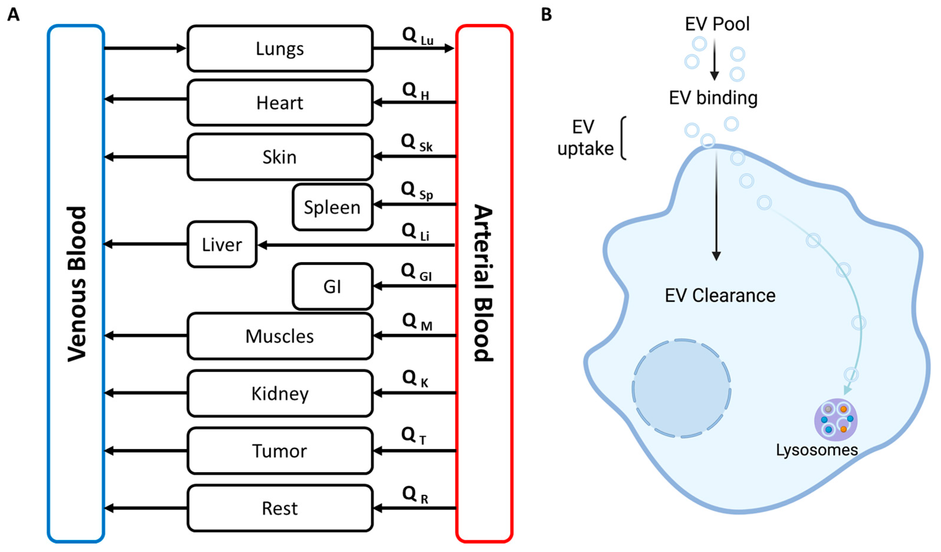 Biology 12 01178 g006 Biology 12 01178 g006