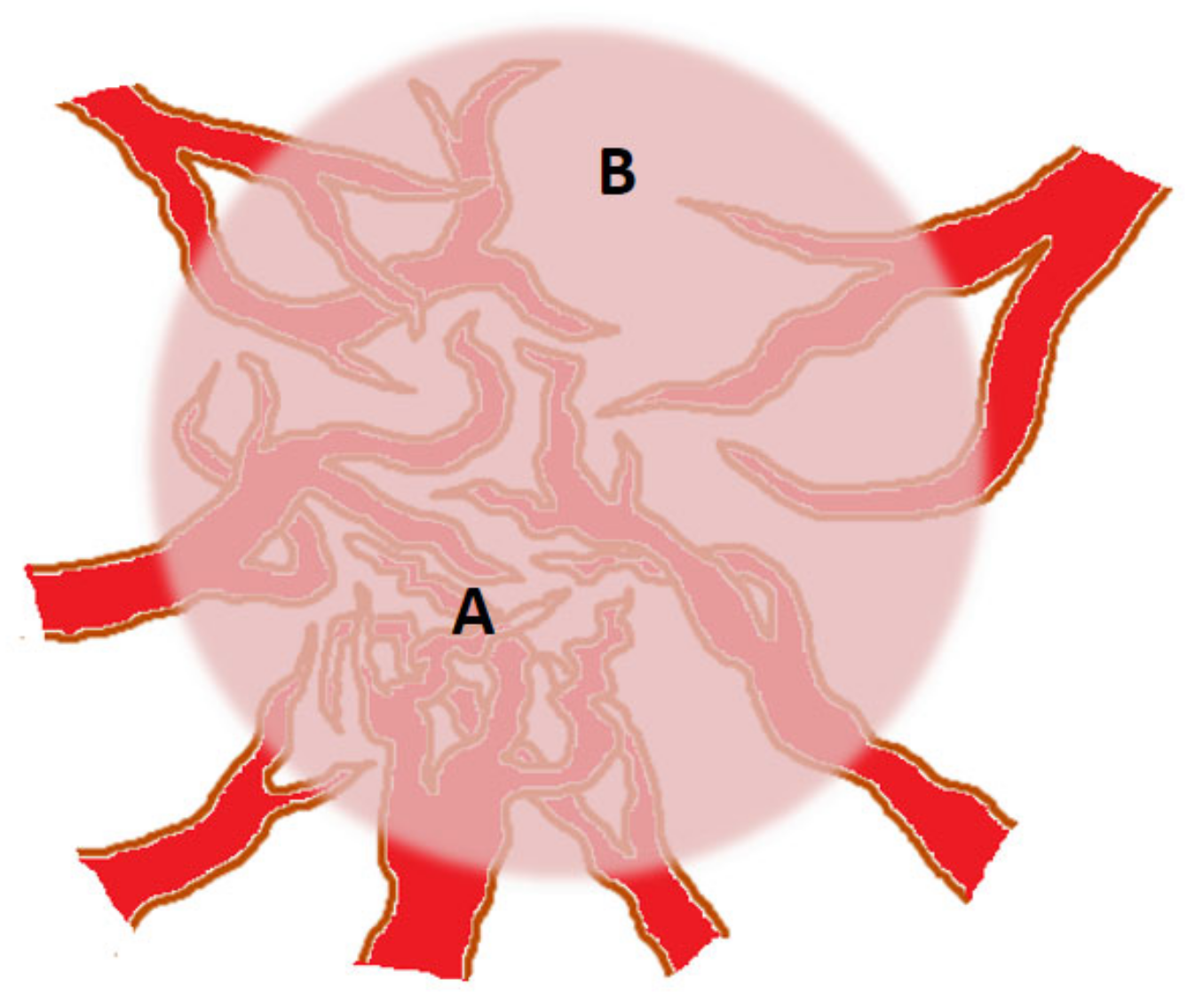 Biology 12 01183 g001 Biology 12 01183 g001