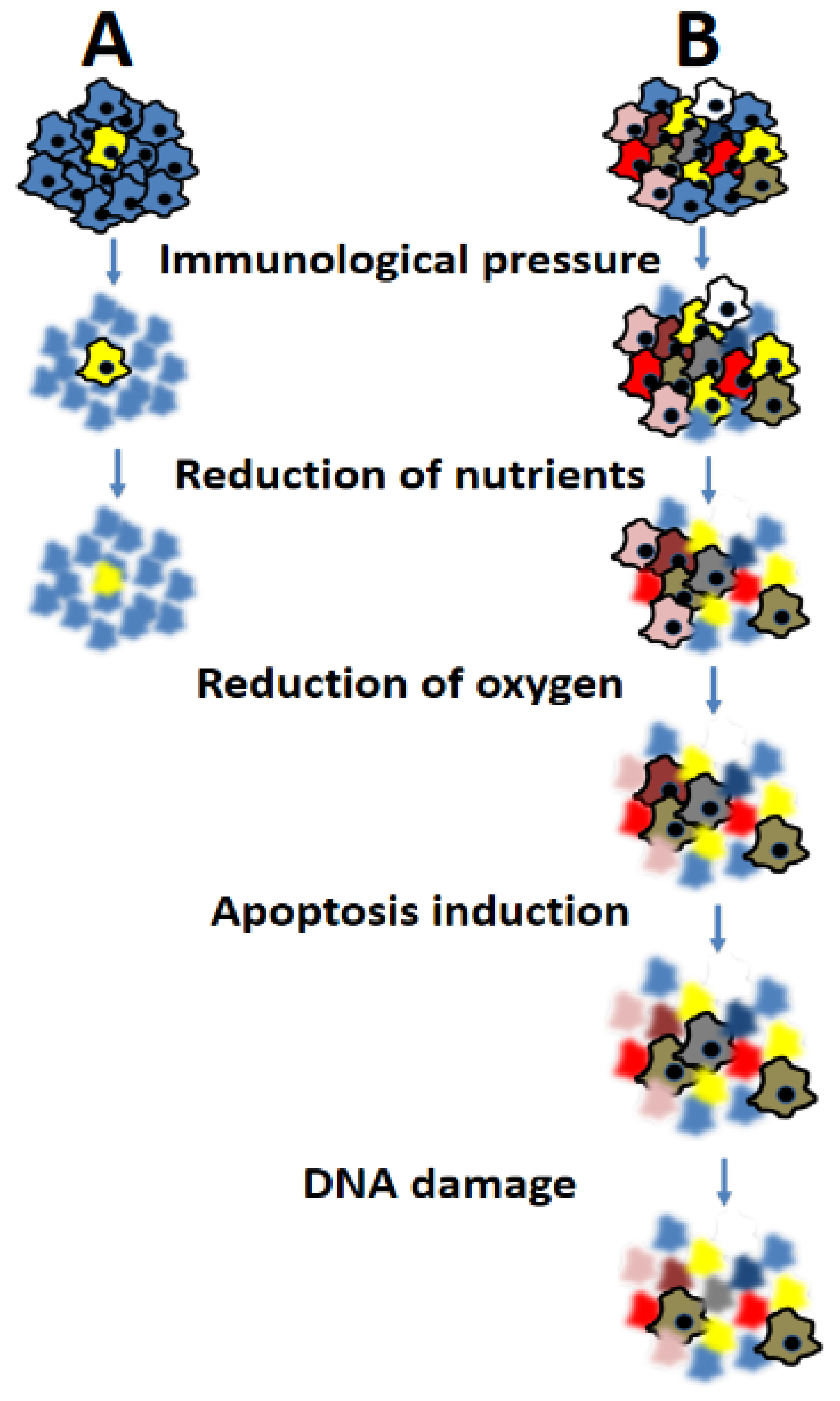 Biology 12 01183 g002 Biology 12 01183 g002