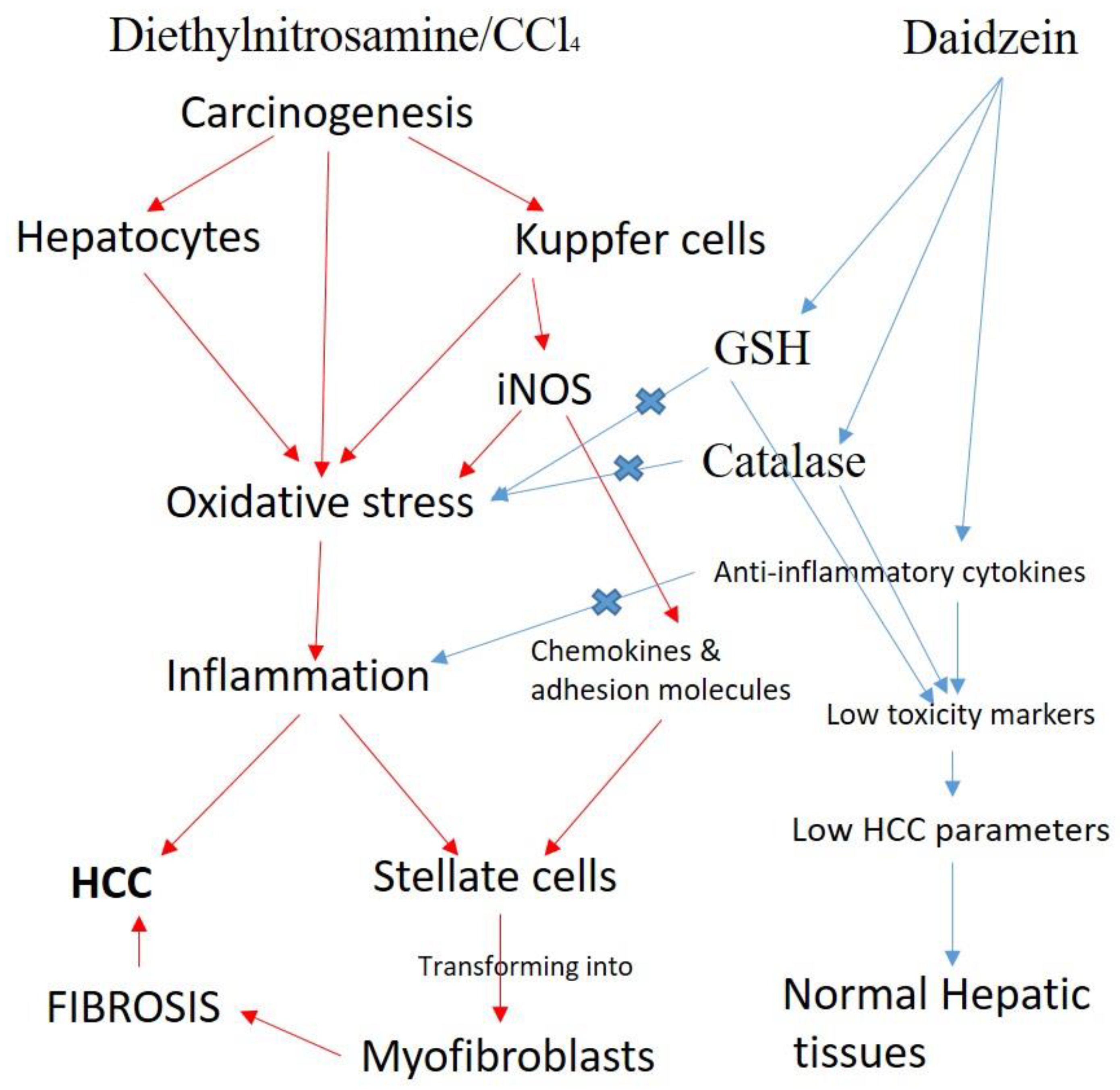 Biology 12 01184 g011