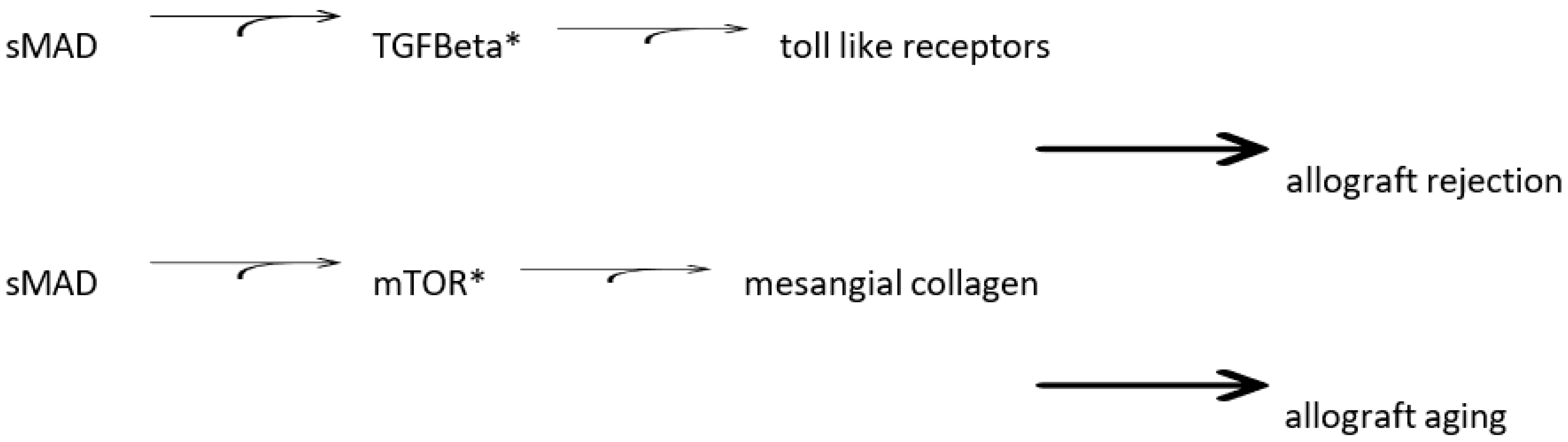 Biology Free FullText Hyperglycemia and Hyperlipidemia with Kidney
