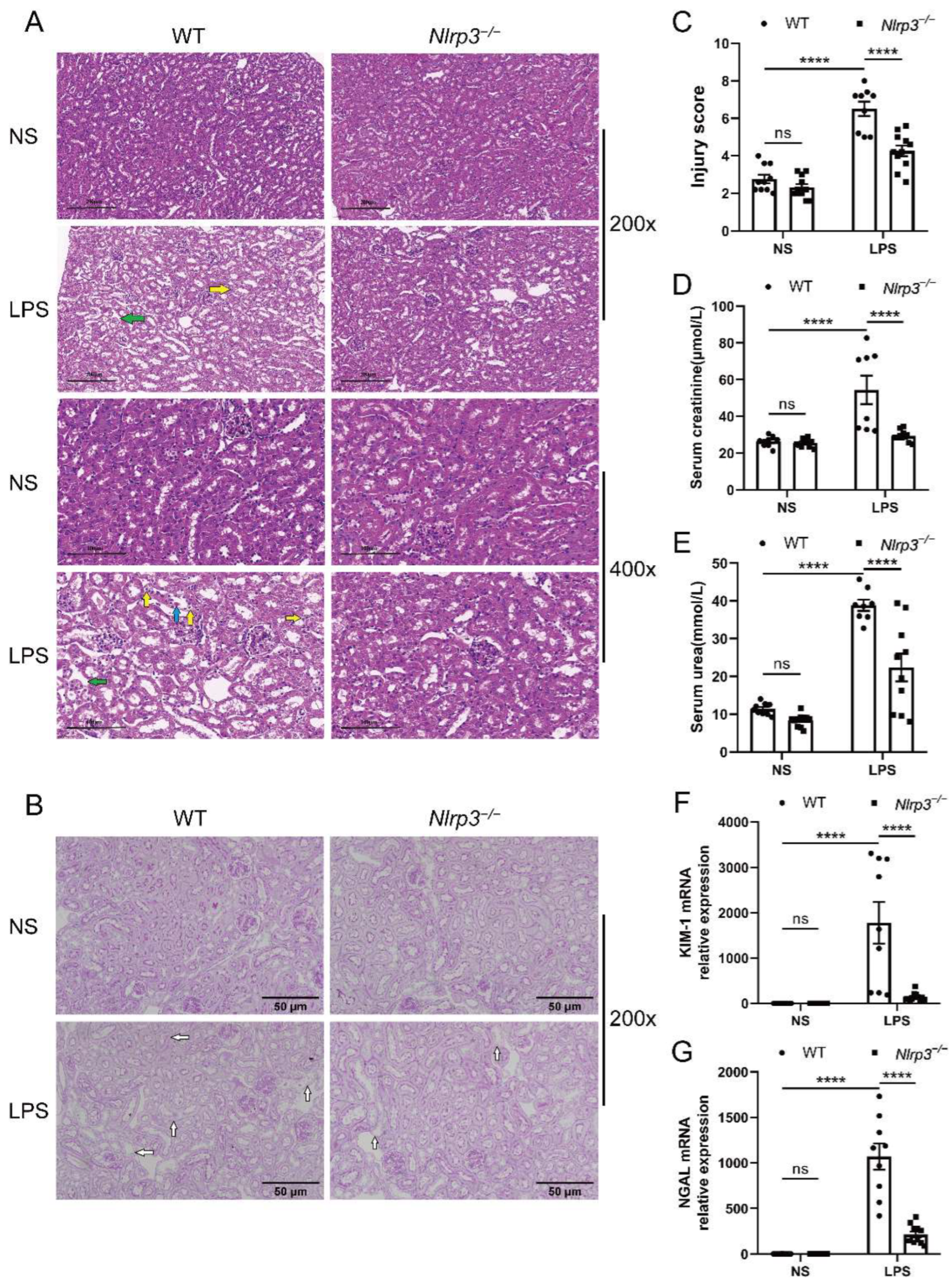 Biology 12 01188 g002