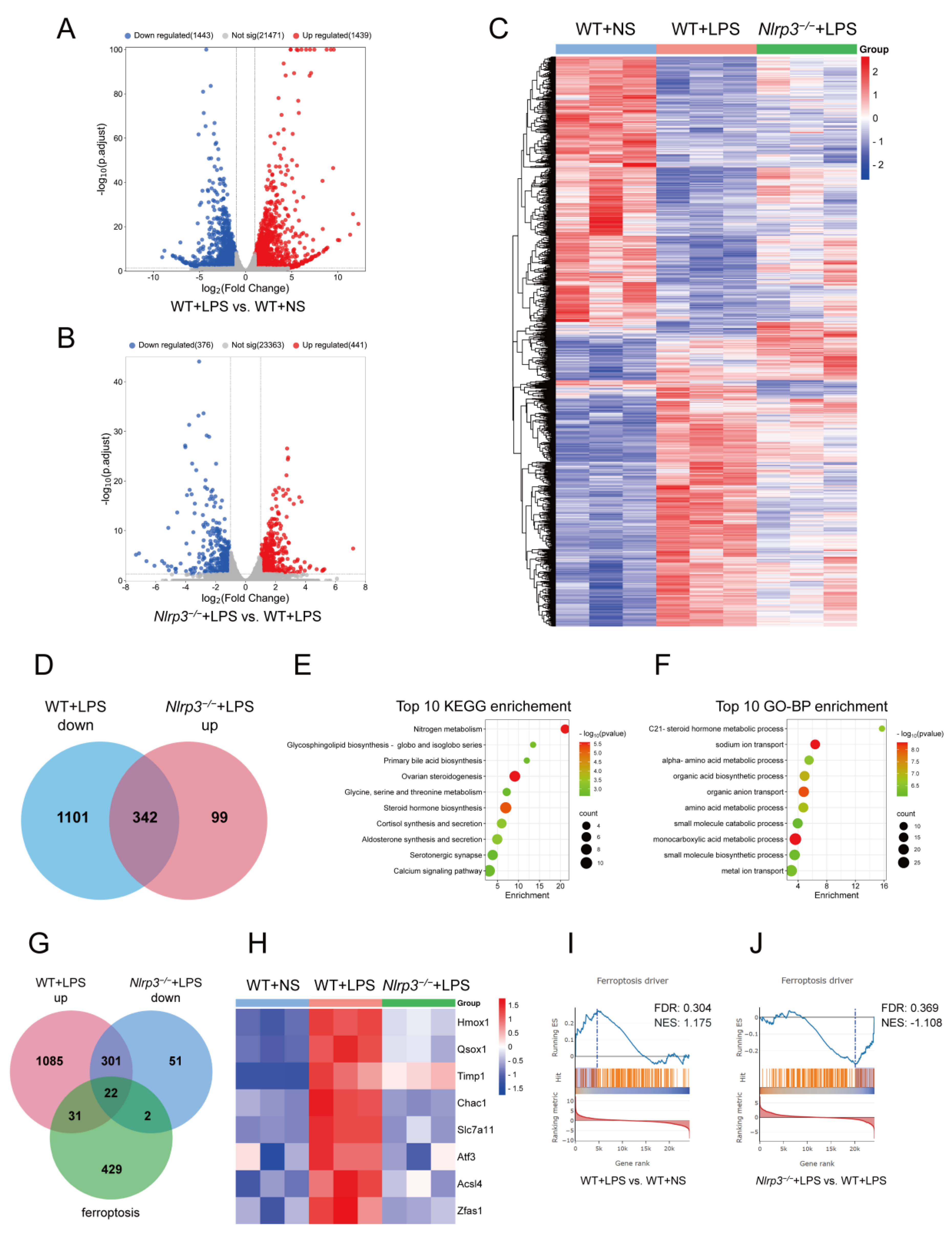 Biology 12 01188 g004
