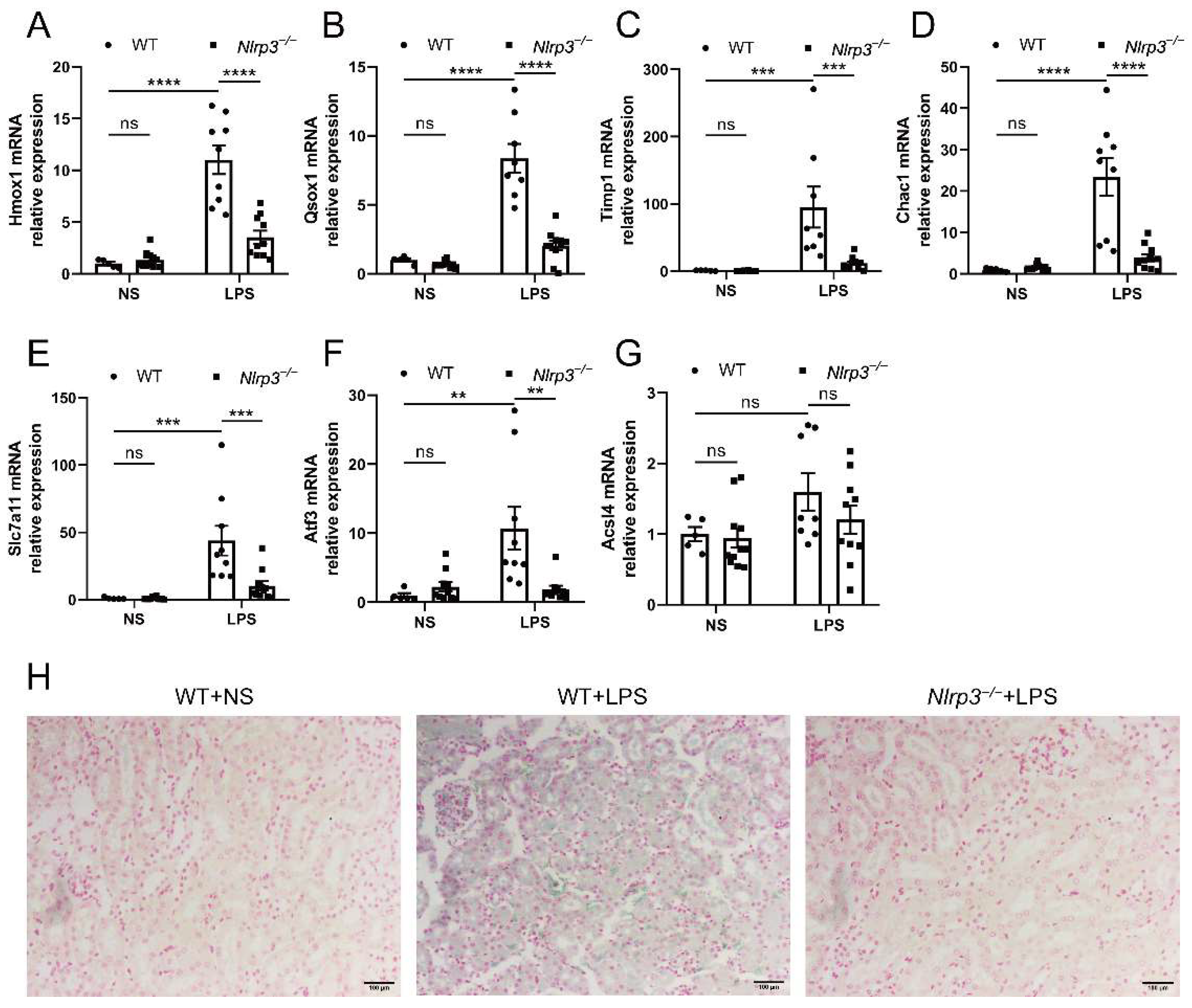 Biology 12 01188 g005