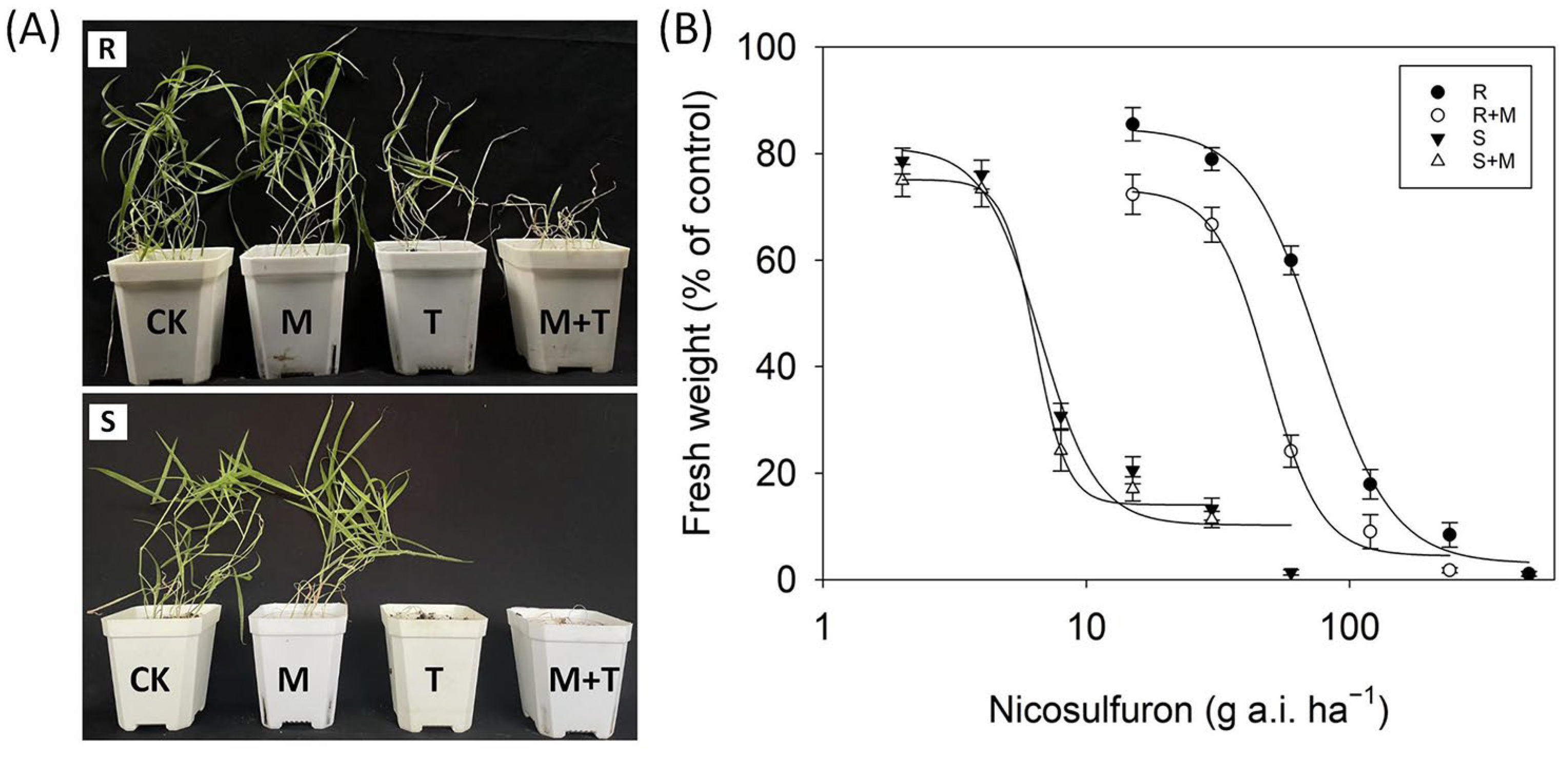 Biology 12 01192 g003