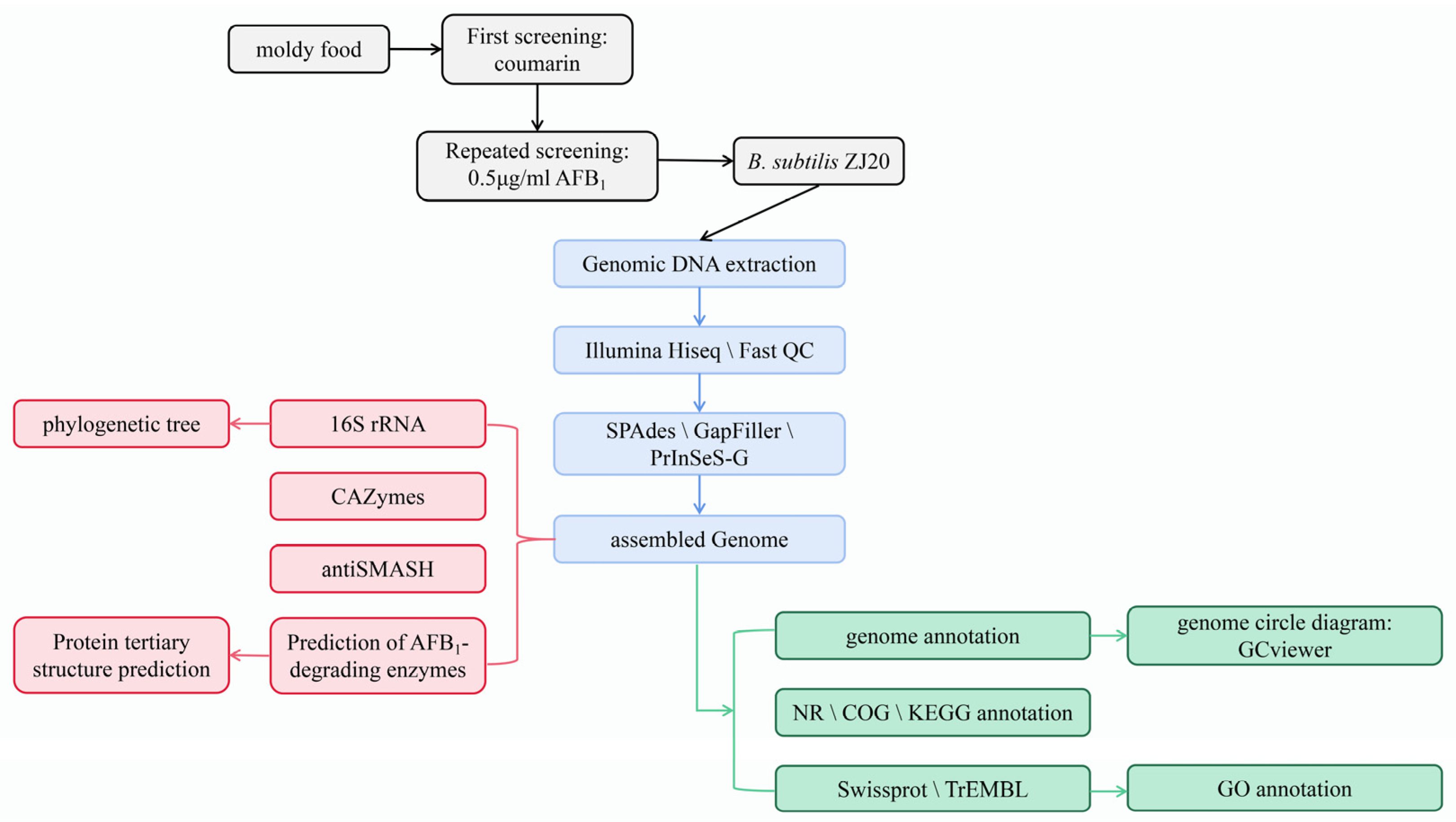 Biology 12 01195 g001 Biology 12 01195 g001