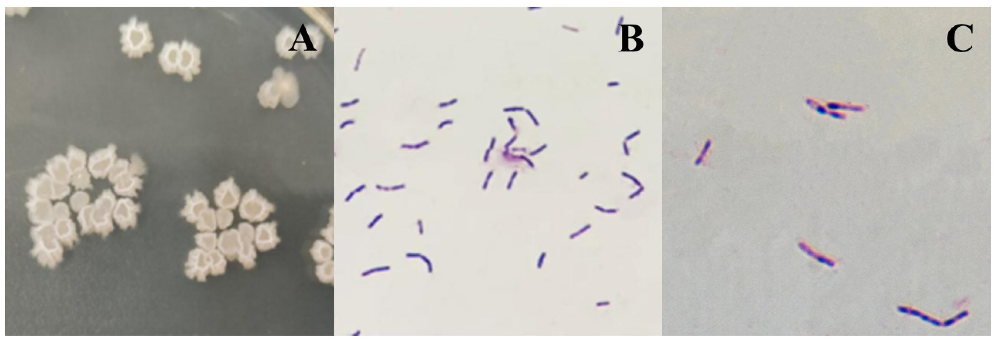 Biology 12 01195 g002 Biology 12 01195 g002