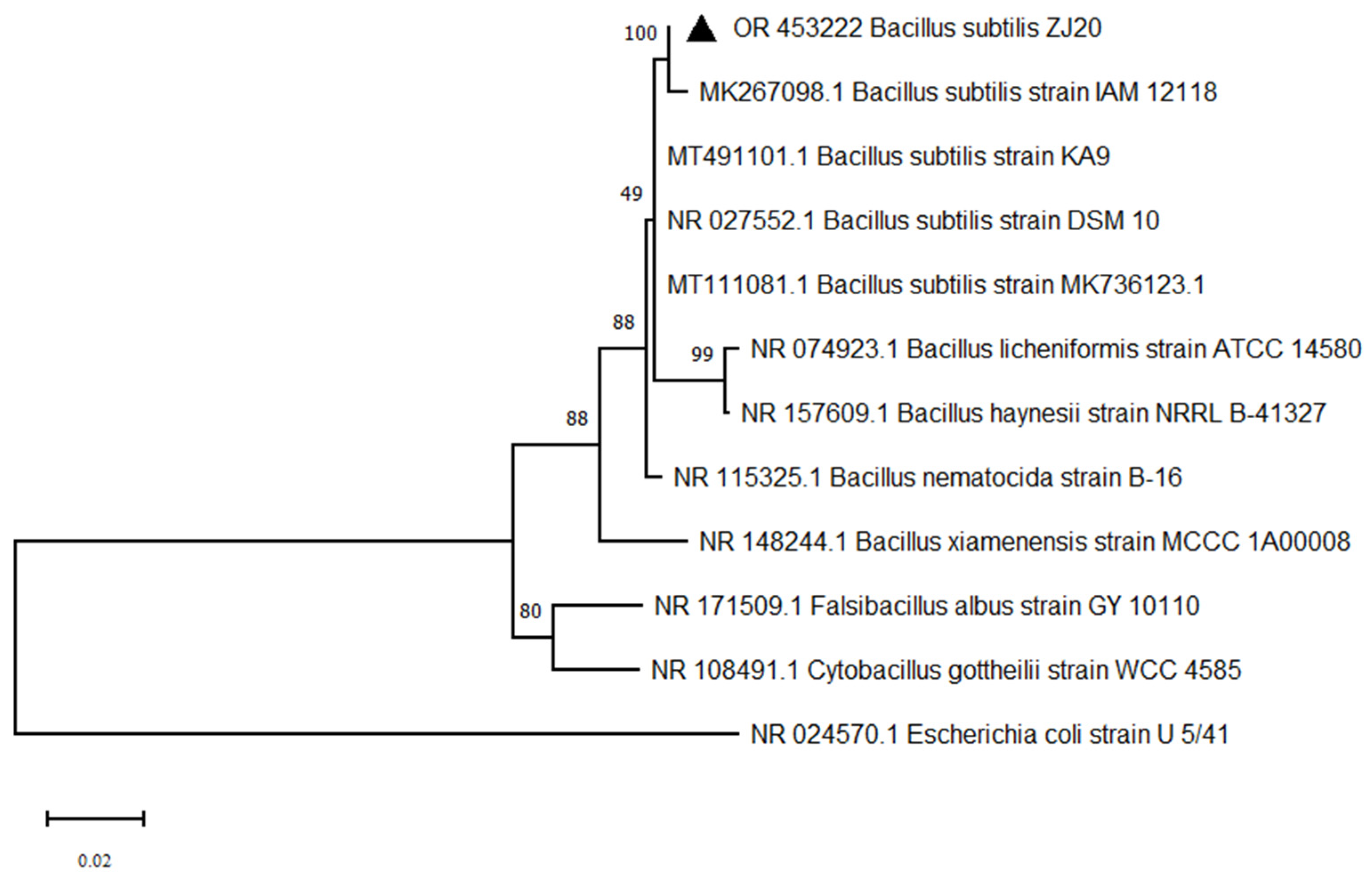 Biology 12 01195 g004 Biology 12 01195 g004