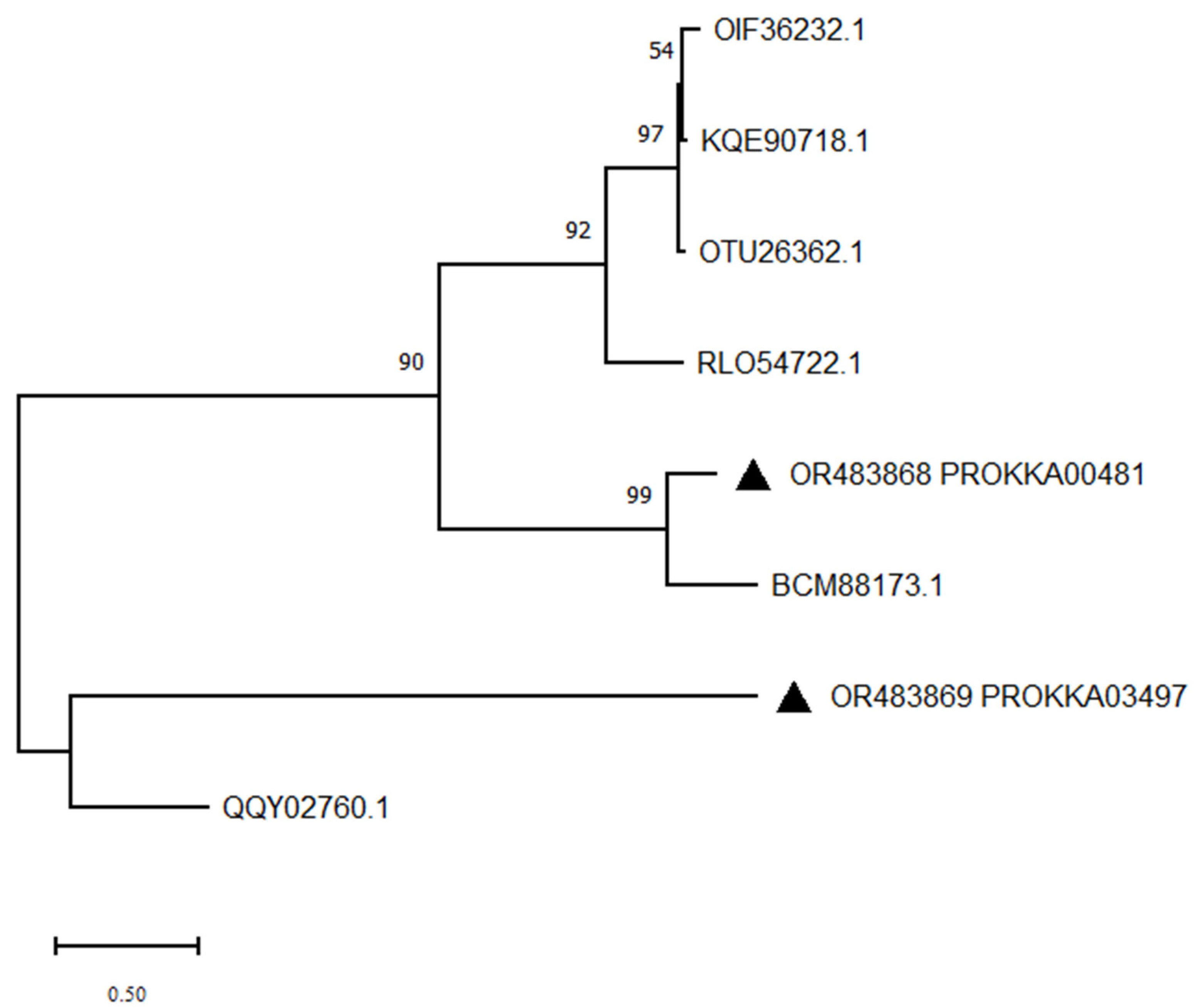 Biology 12 01195 g013 Biology 12 01195 g013