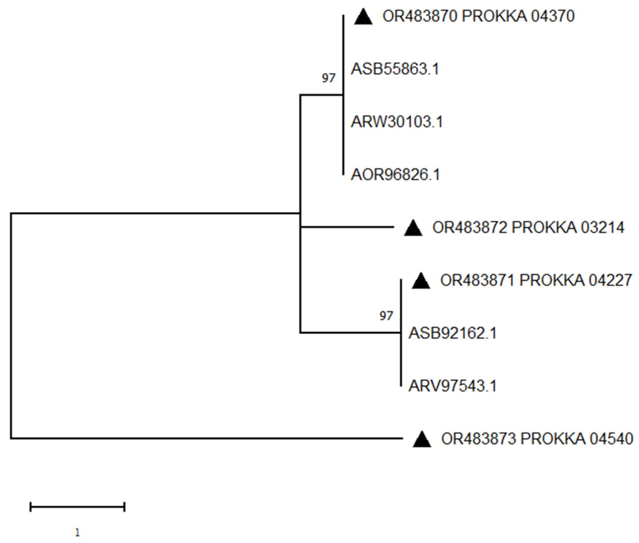 Biology 12 01195 g015 Biology 12 01195 g015