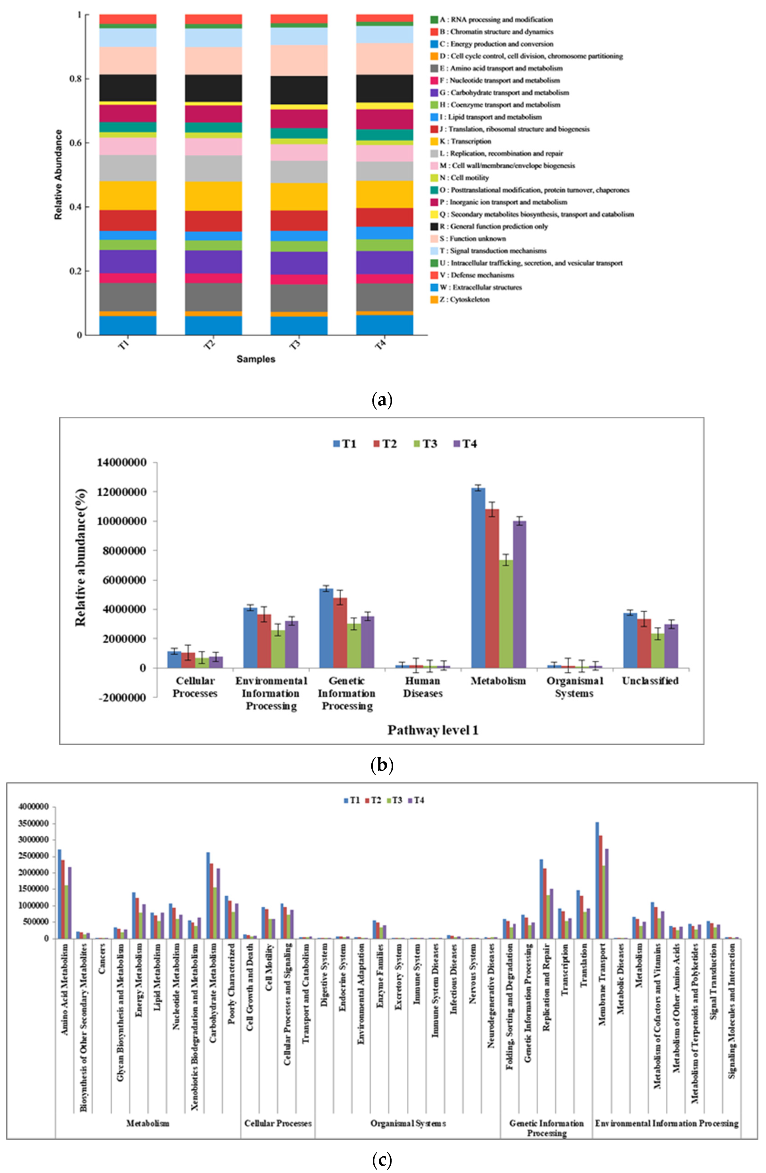 Biology 12 01197 g006
