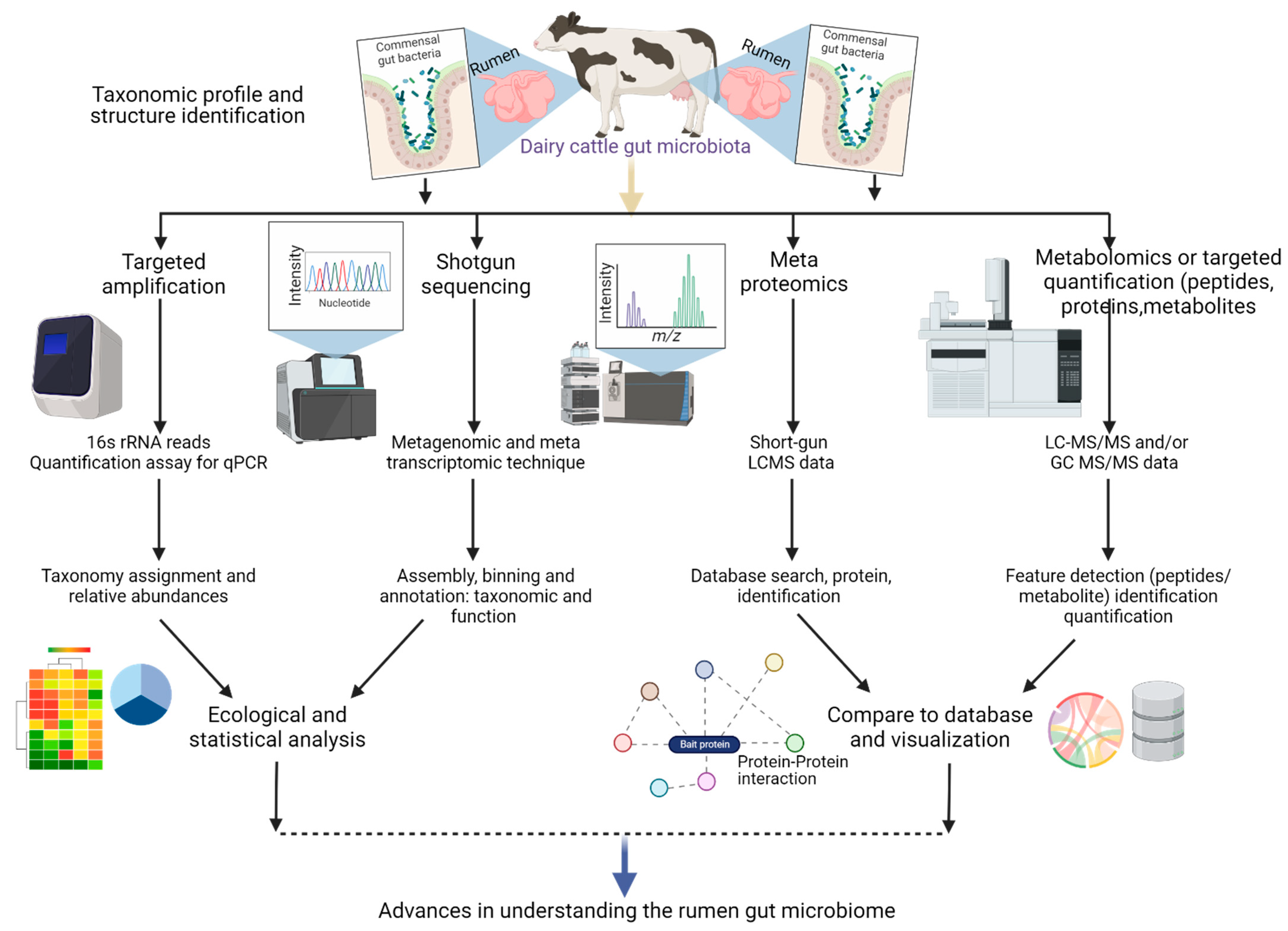 Biology 12 01200 g002