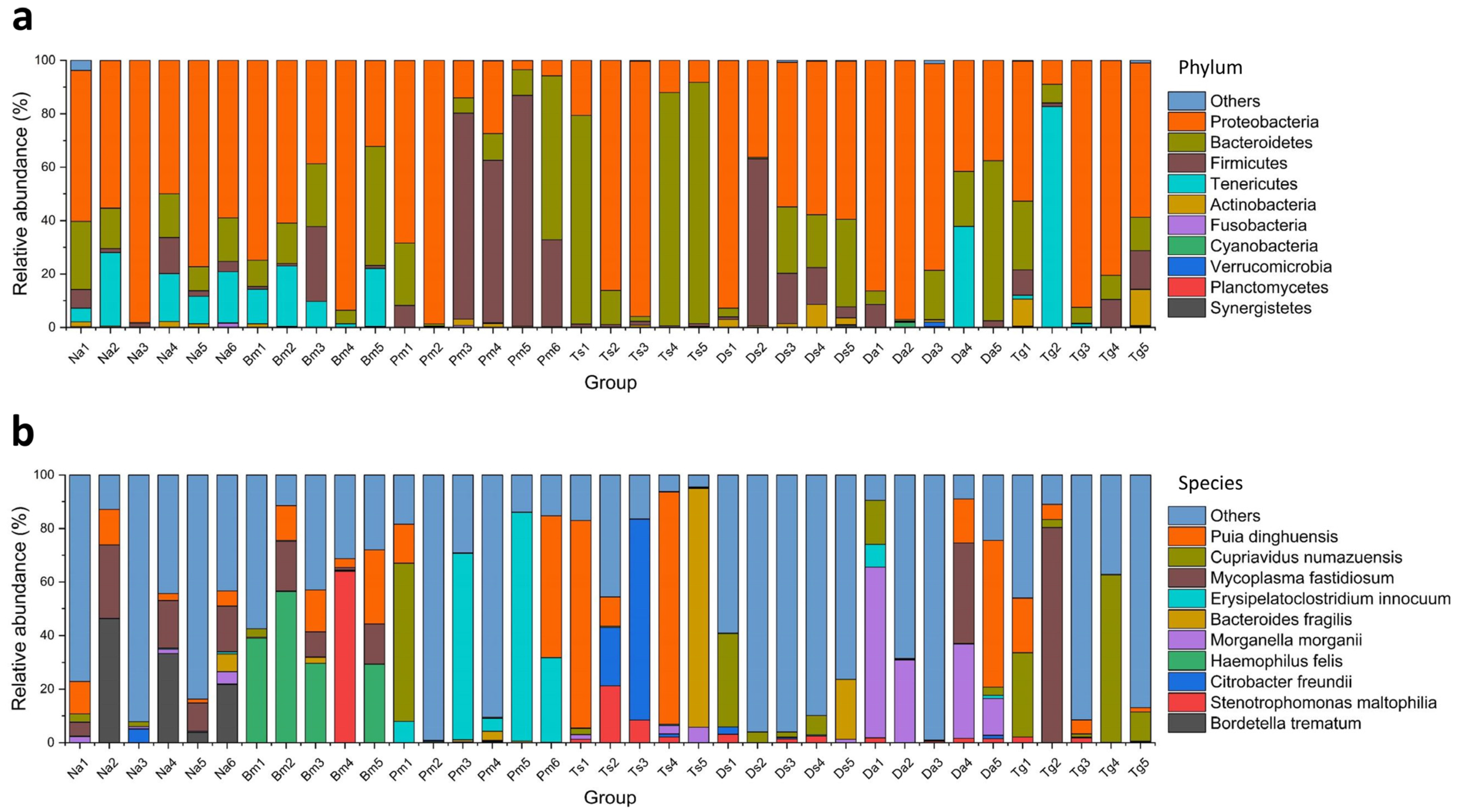 Biology 12 01206 g004 Biology 12 01206 g004