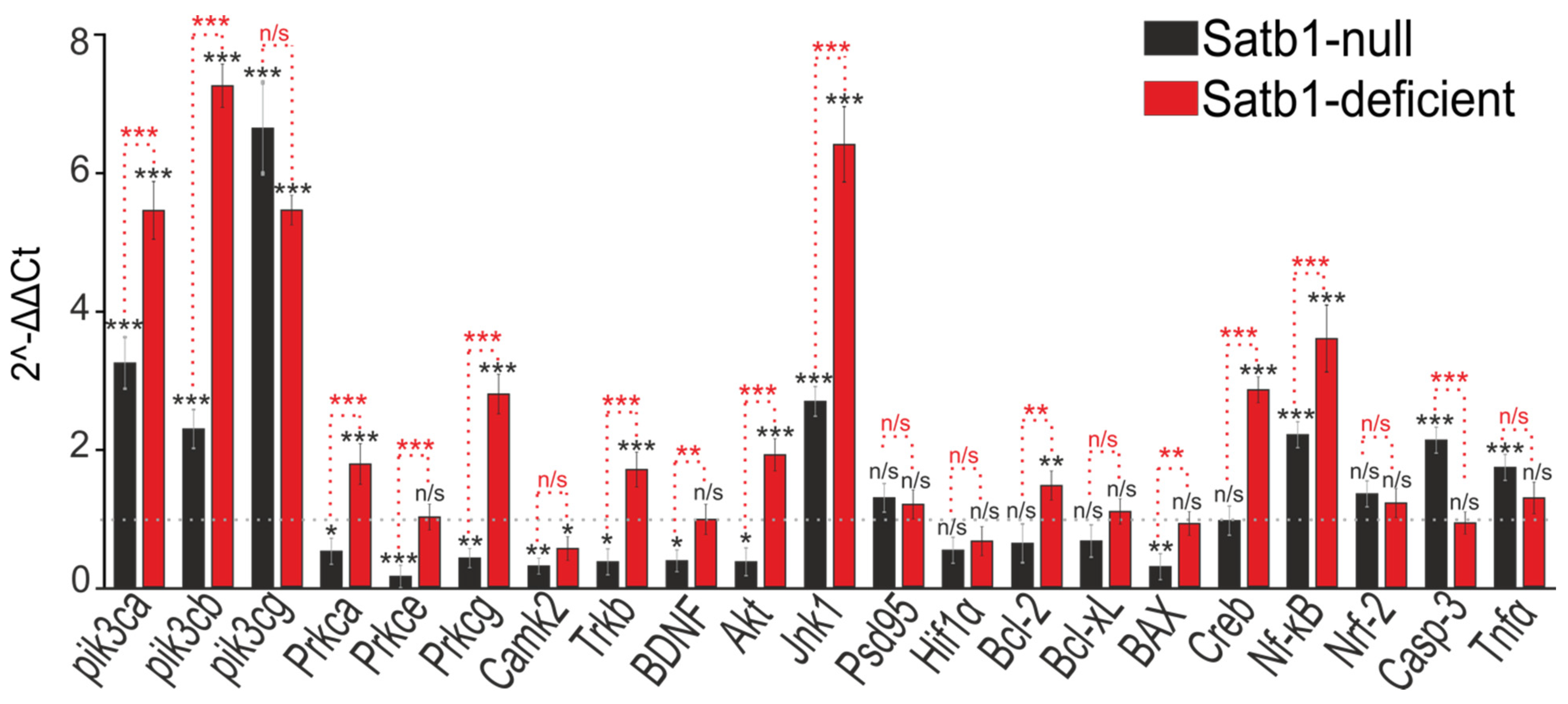 Biology 12 01207 g001 Biology 12 01207 g001